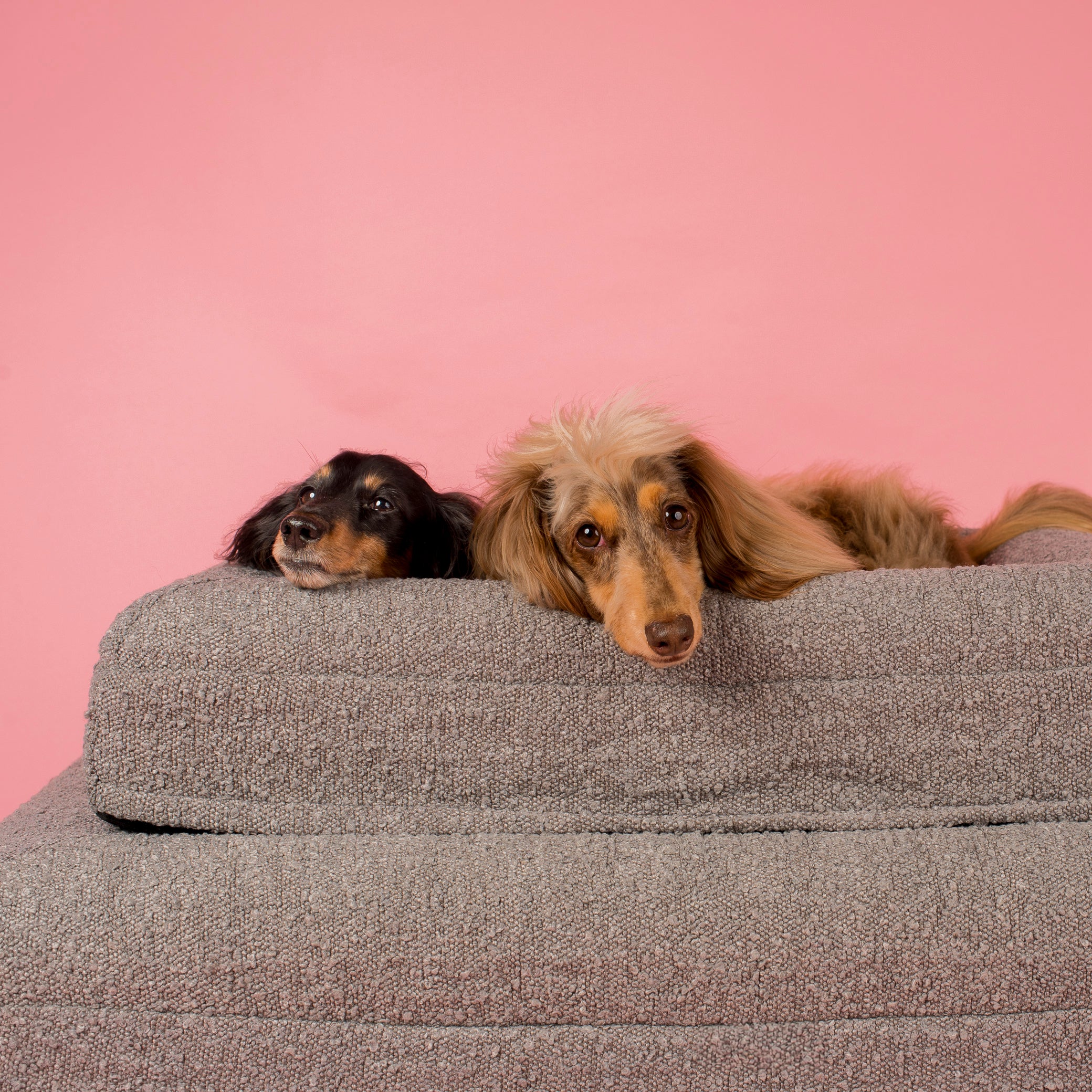 Orthopedic Memory Foam Boucle Dog Bed: Storm - Image 13