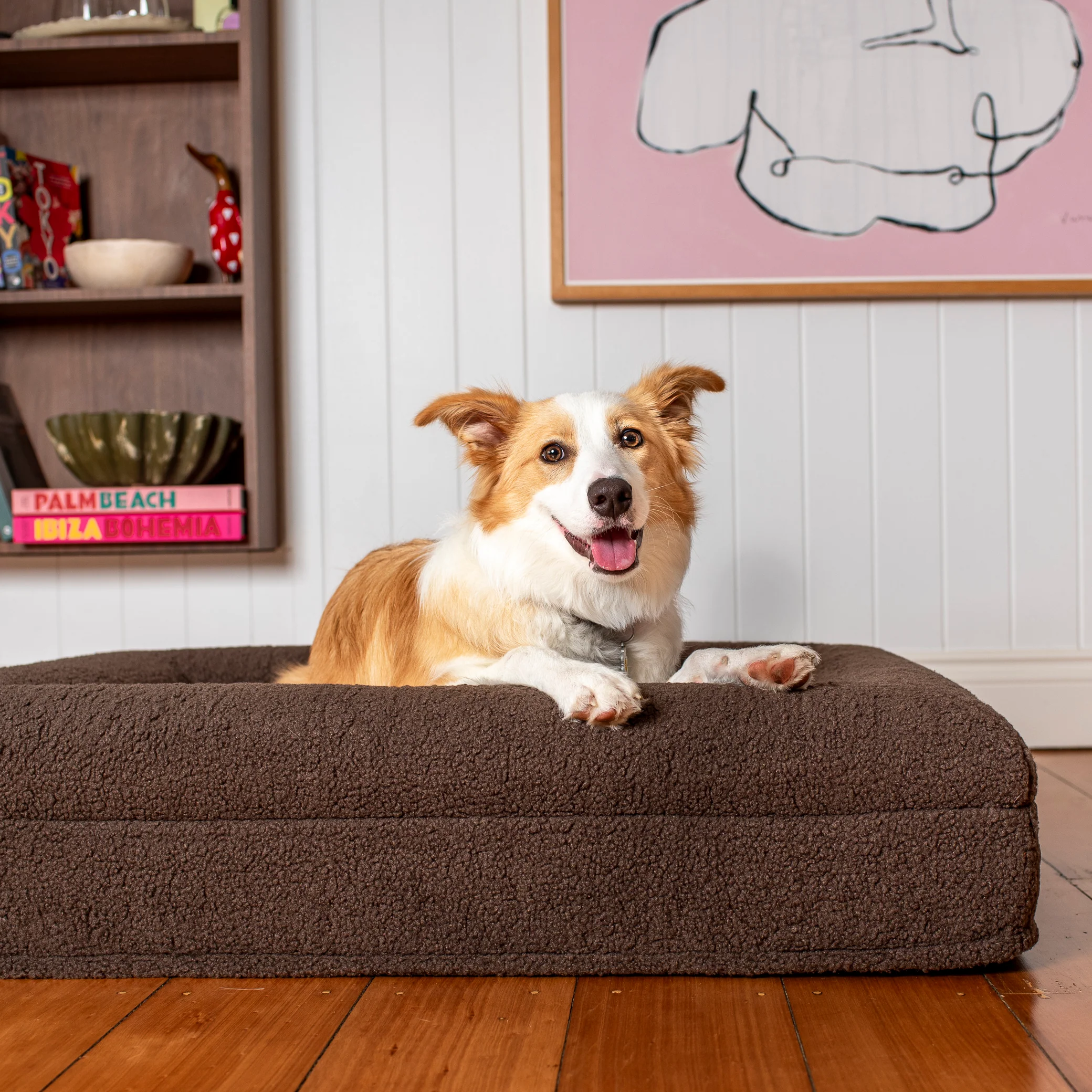 Orthopedic Memory Foam Teddy Dog Bed: Espresso - Image 10