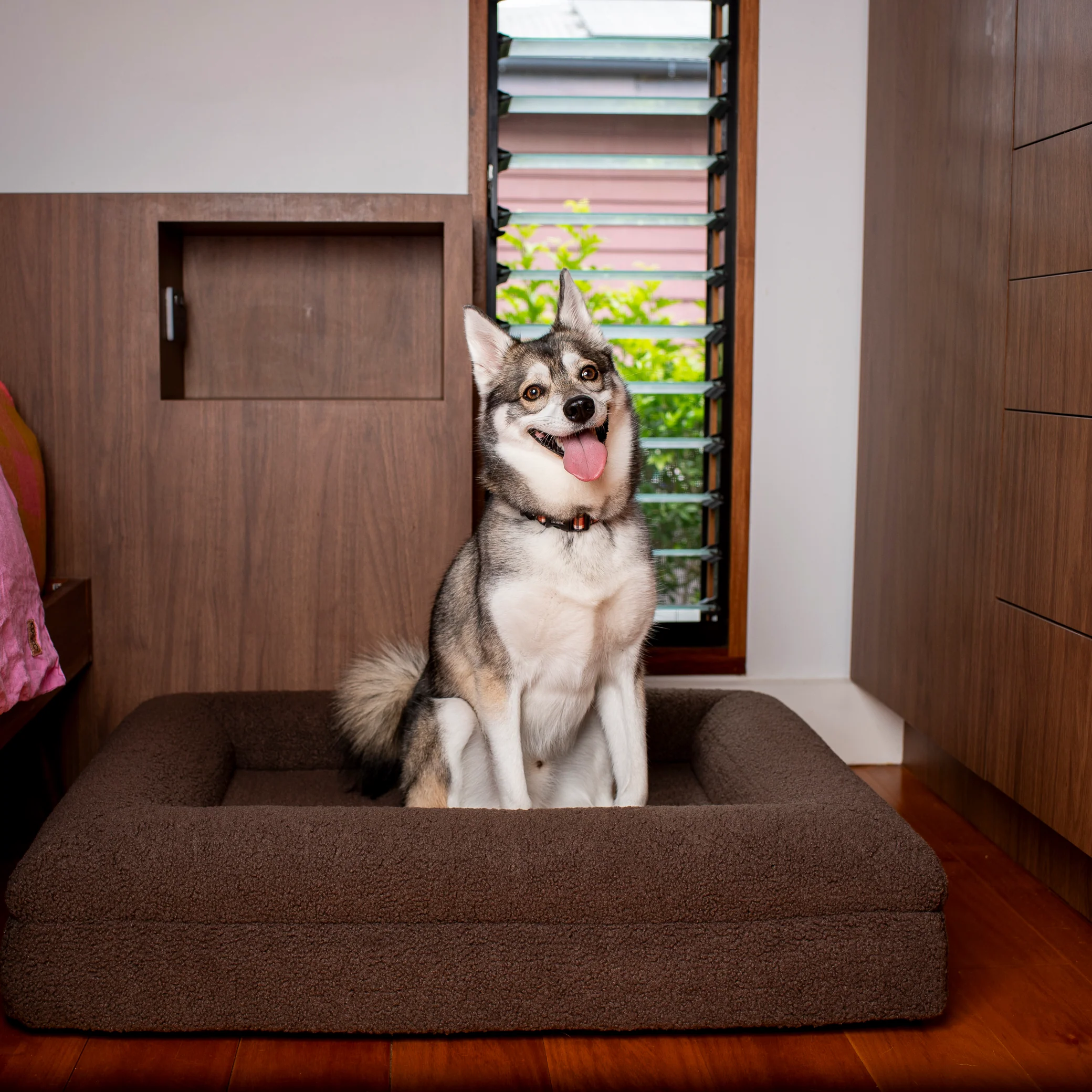 Orthopedic Memory Foam Teddy Dog Bed: Espresso - Image 16