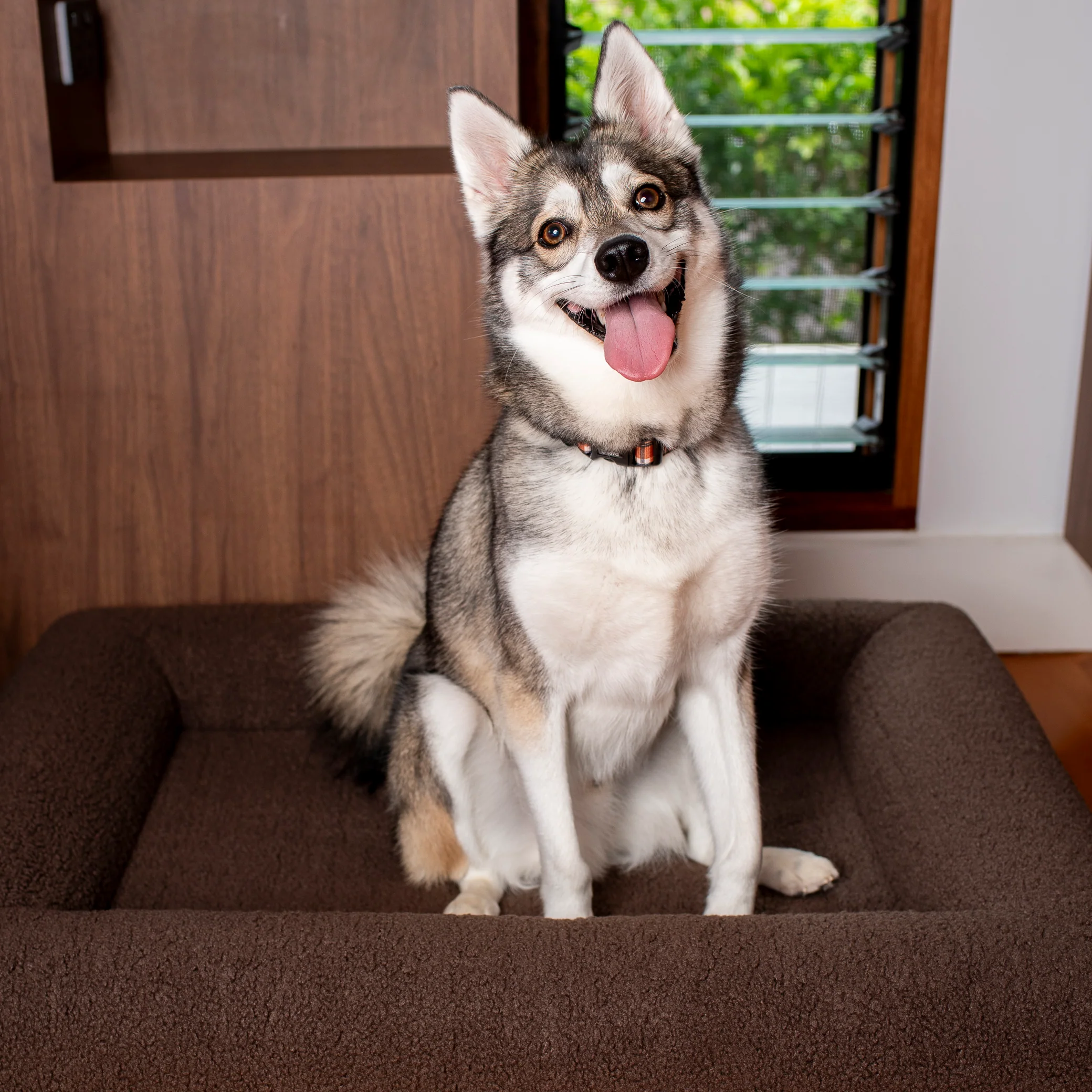 Orthopedic Memory Foam Teddy Dog Bed: Espresso - Image 18