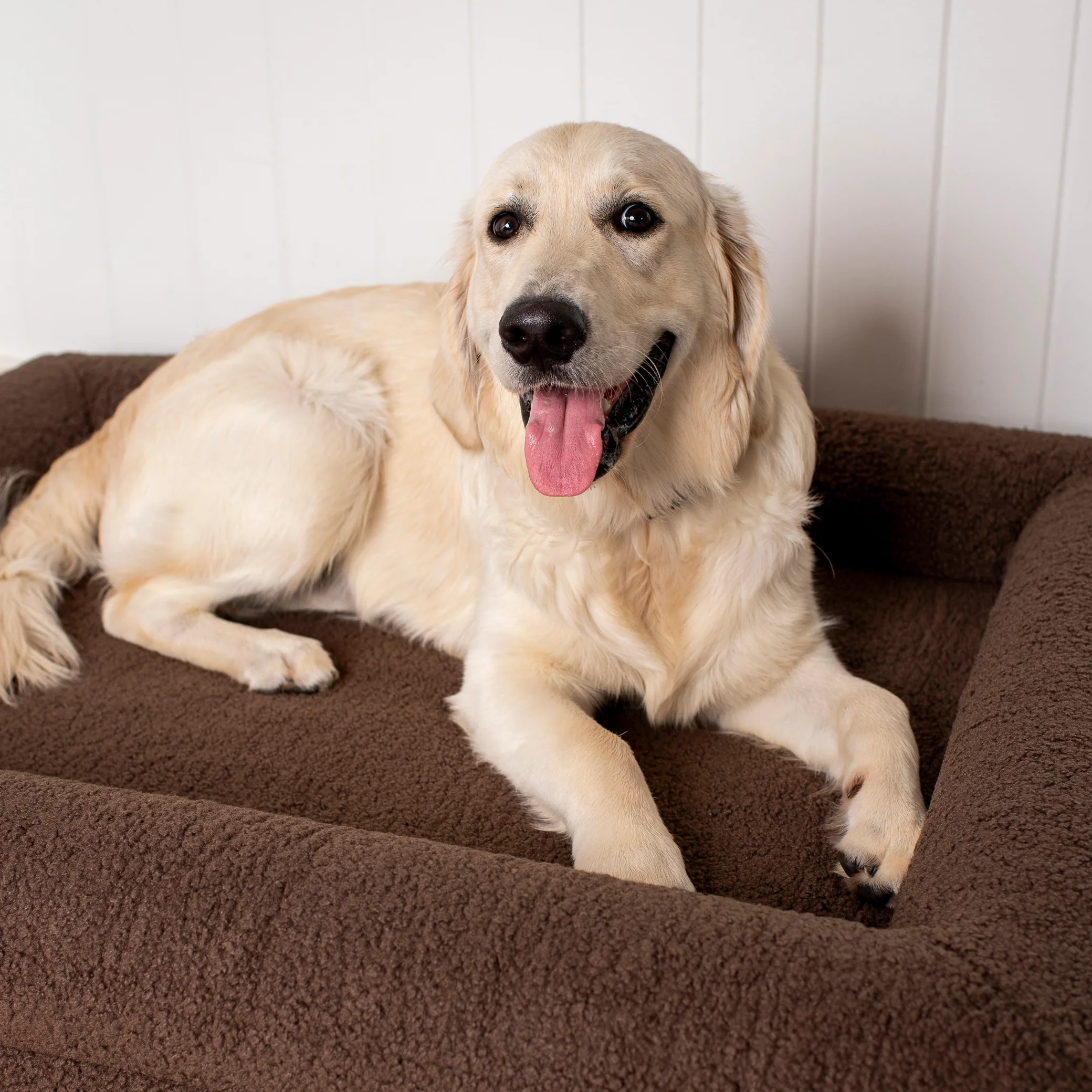 Orthopedic Memory Foam Teddy Dog Bed: Espresso - Image 19