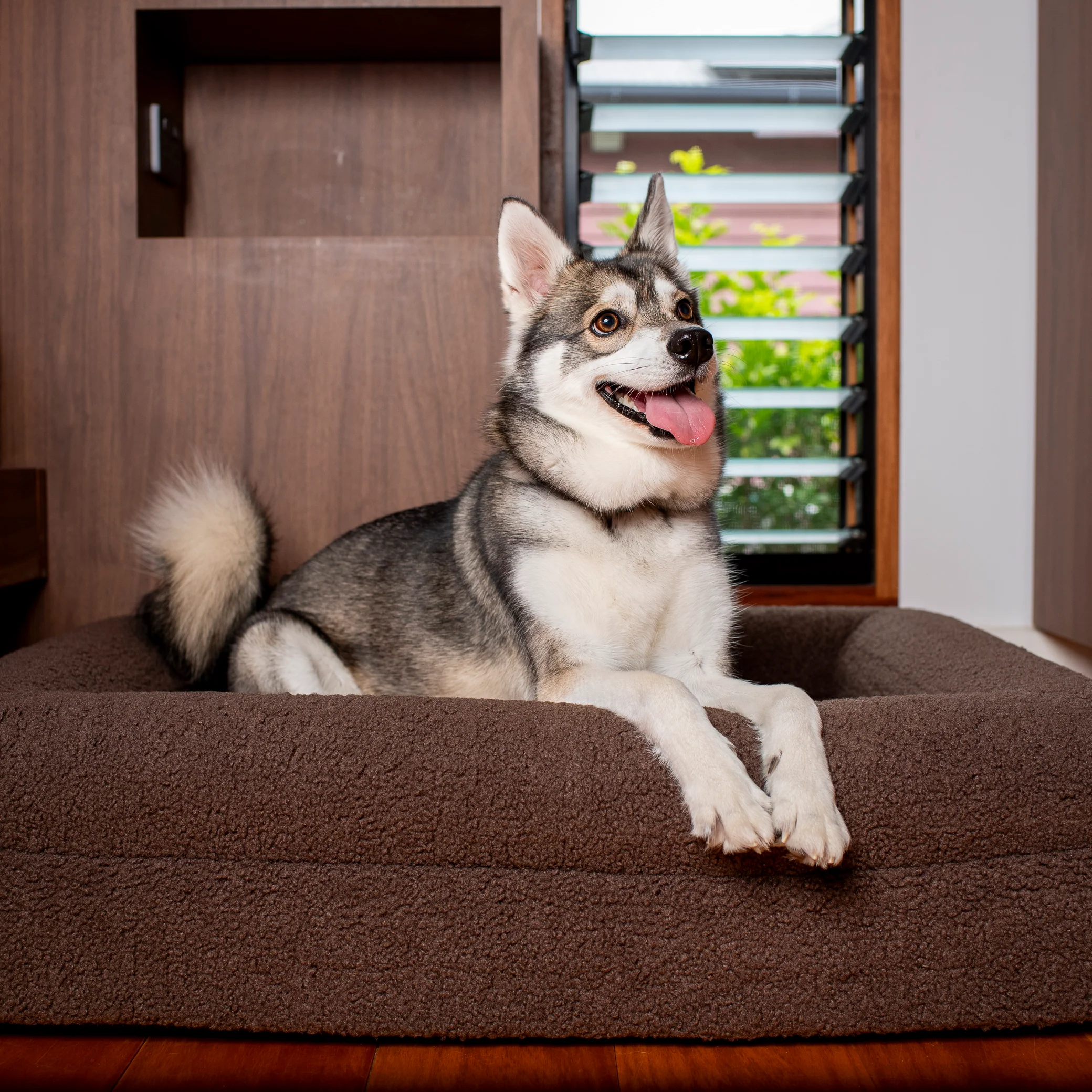 Orthopedic Memory Foam Teddy Dog Bed: Espresso - Image 20