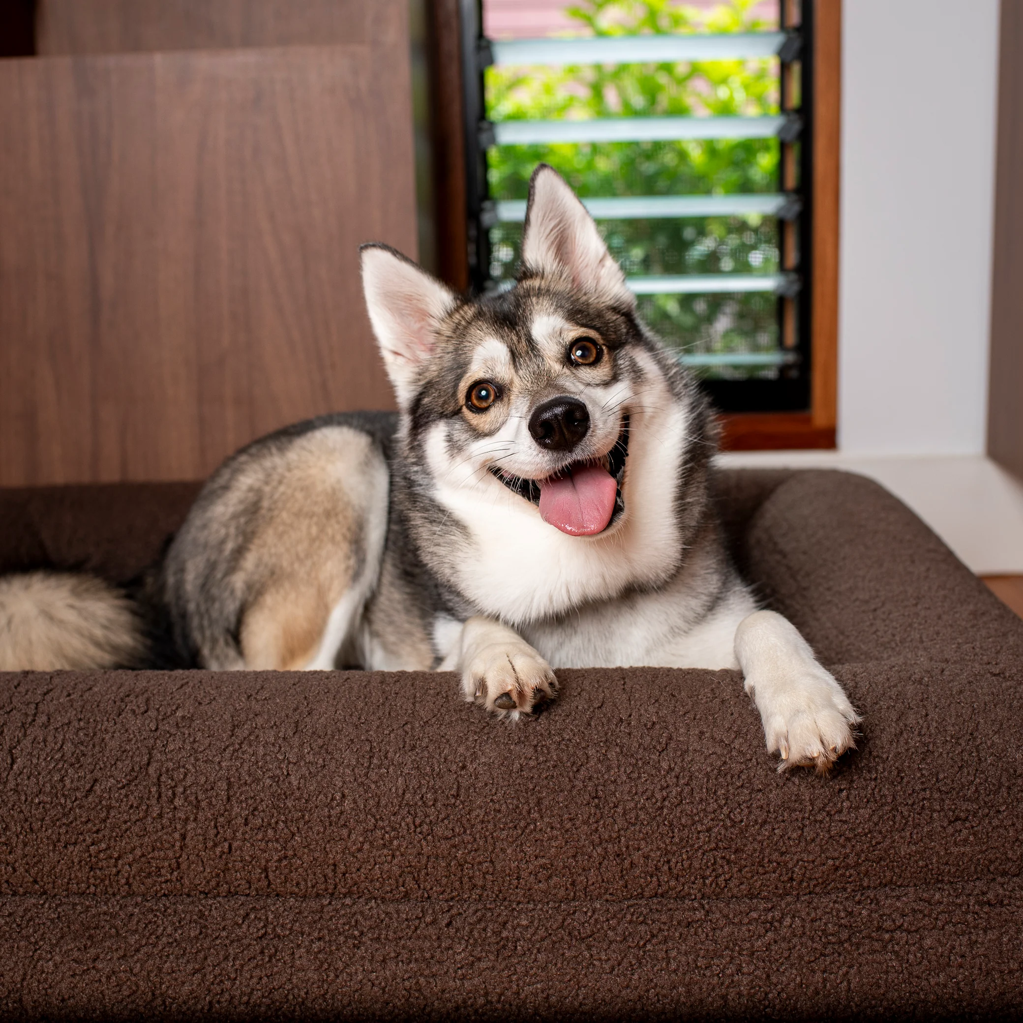Orthopedic Memory Foam Teddy Dog Bed: Espresso - Image 21