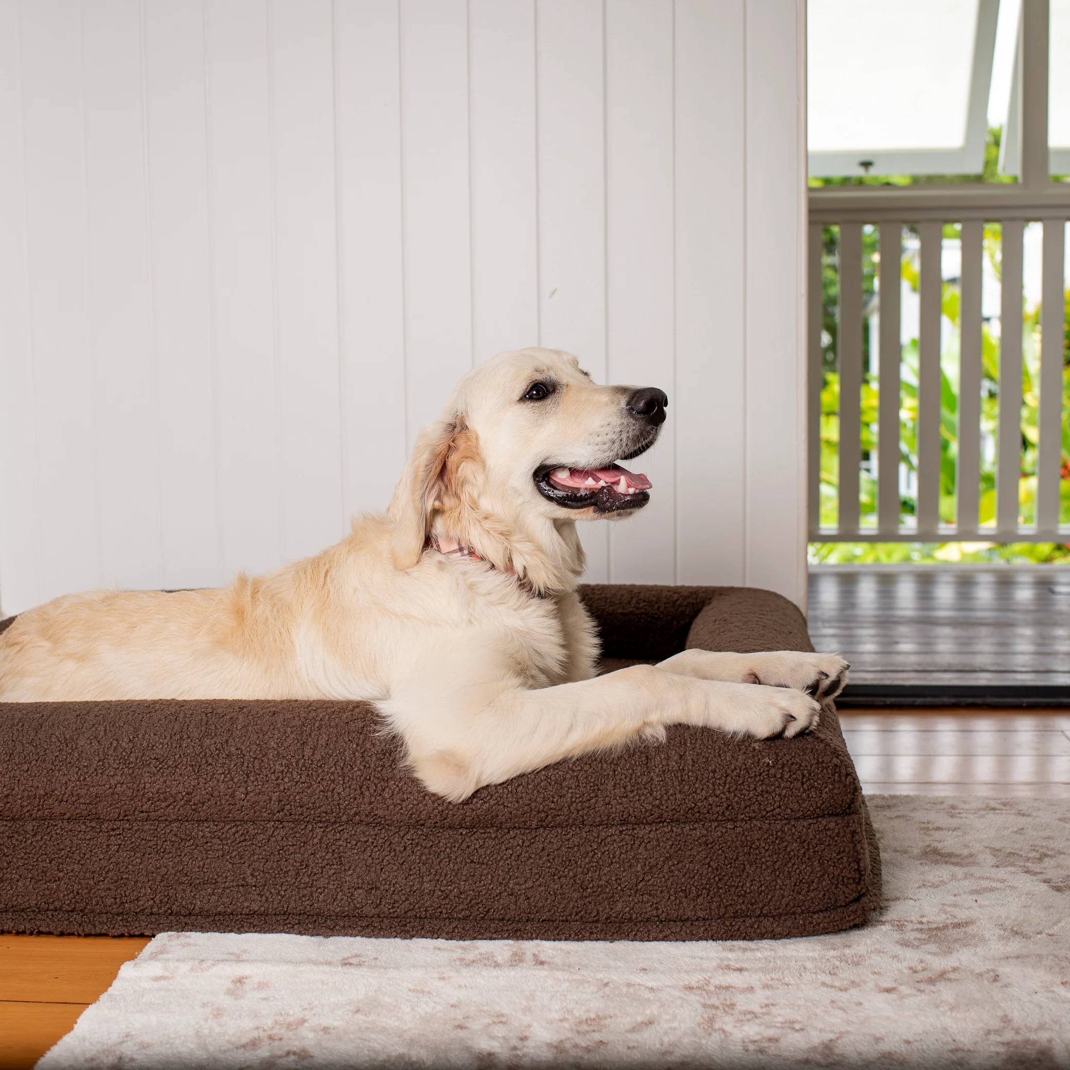Orthopedic Memory Foam Teddy Dog Bed: Espresso - Image 4