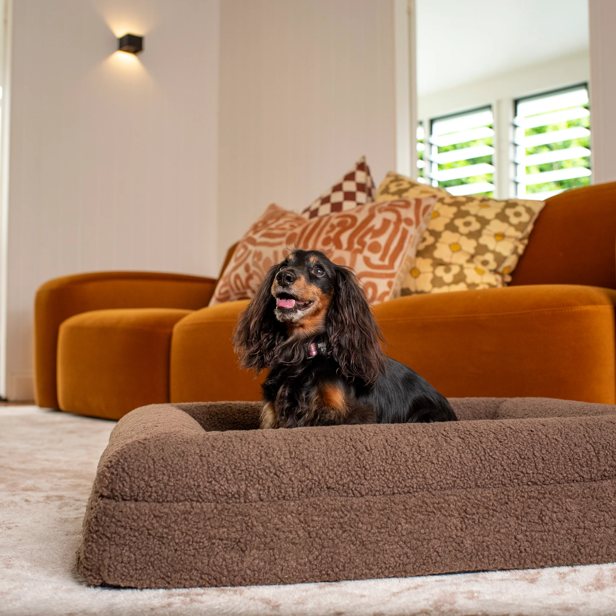 Orthopedic Memory Foam Teddy Dog Bed: Espresso - Image 6
