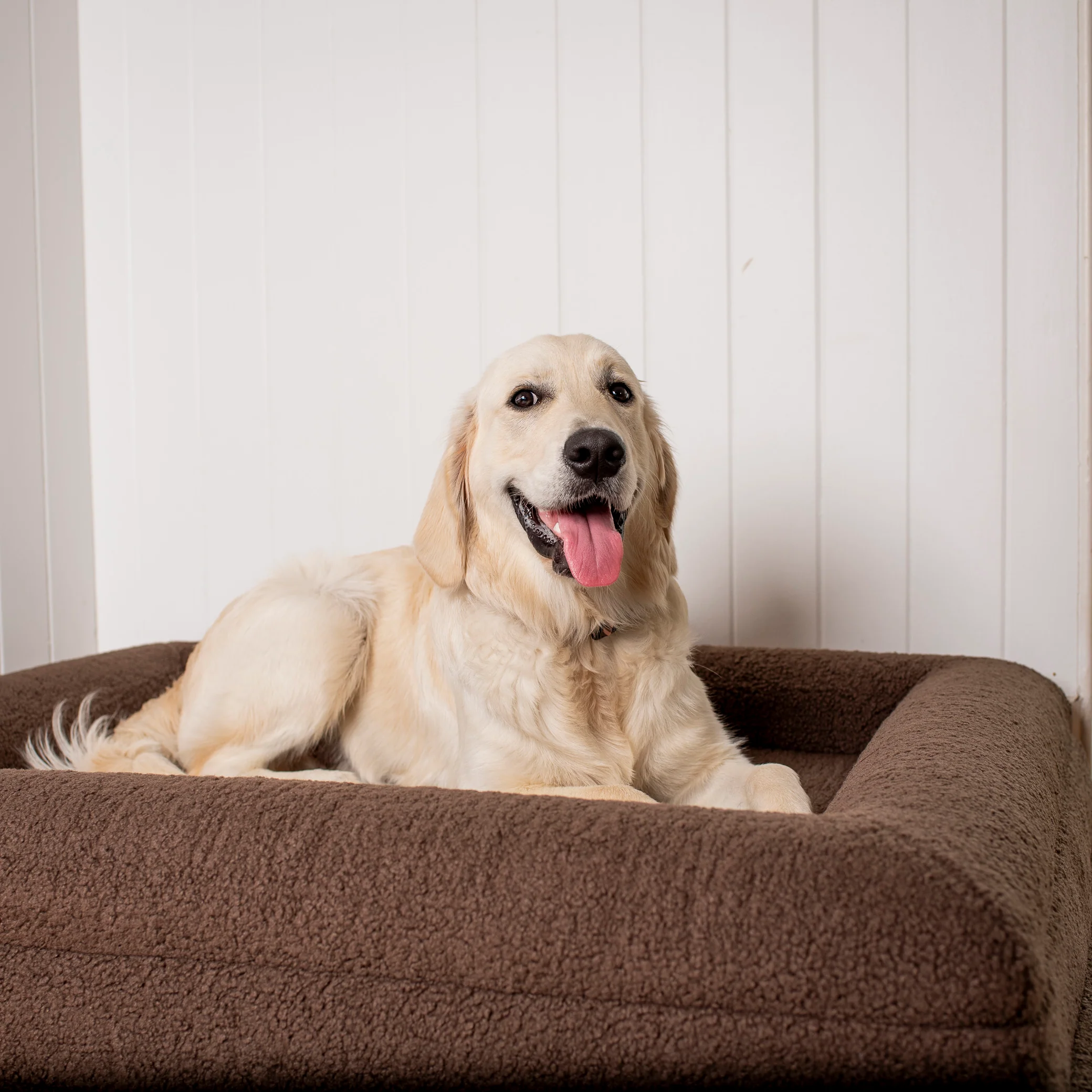 Orthopedic Memory Foam Teddy Dog Bed: Espresso - Image 8