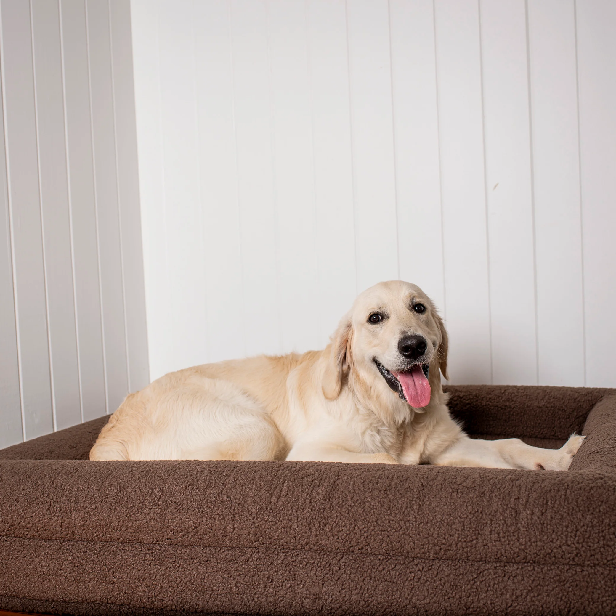 Orthopedic Memory Foam Teddy Dog Bed: Espresso - Image 9
