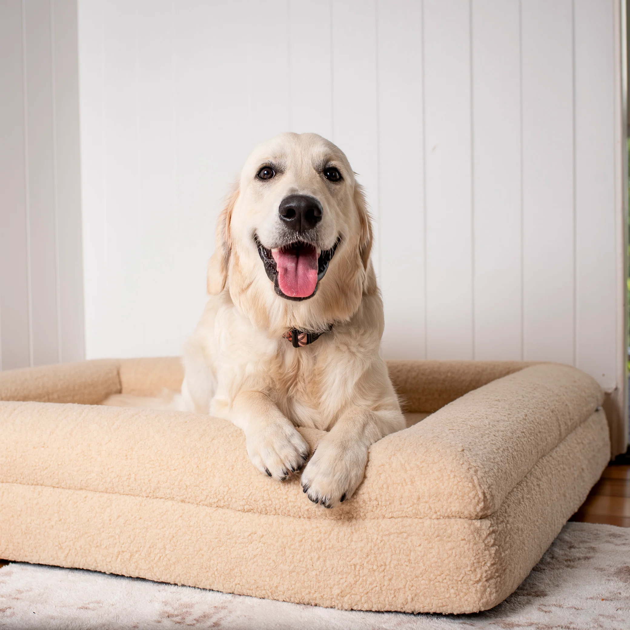 Orthopedic Memory Foam Teddy Dog Bed: Latte - Image 10