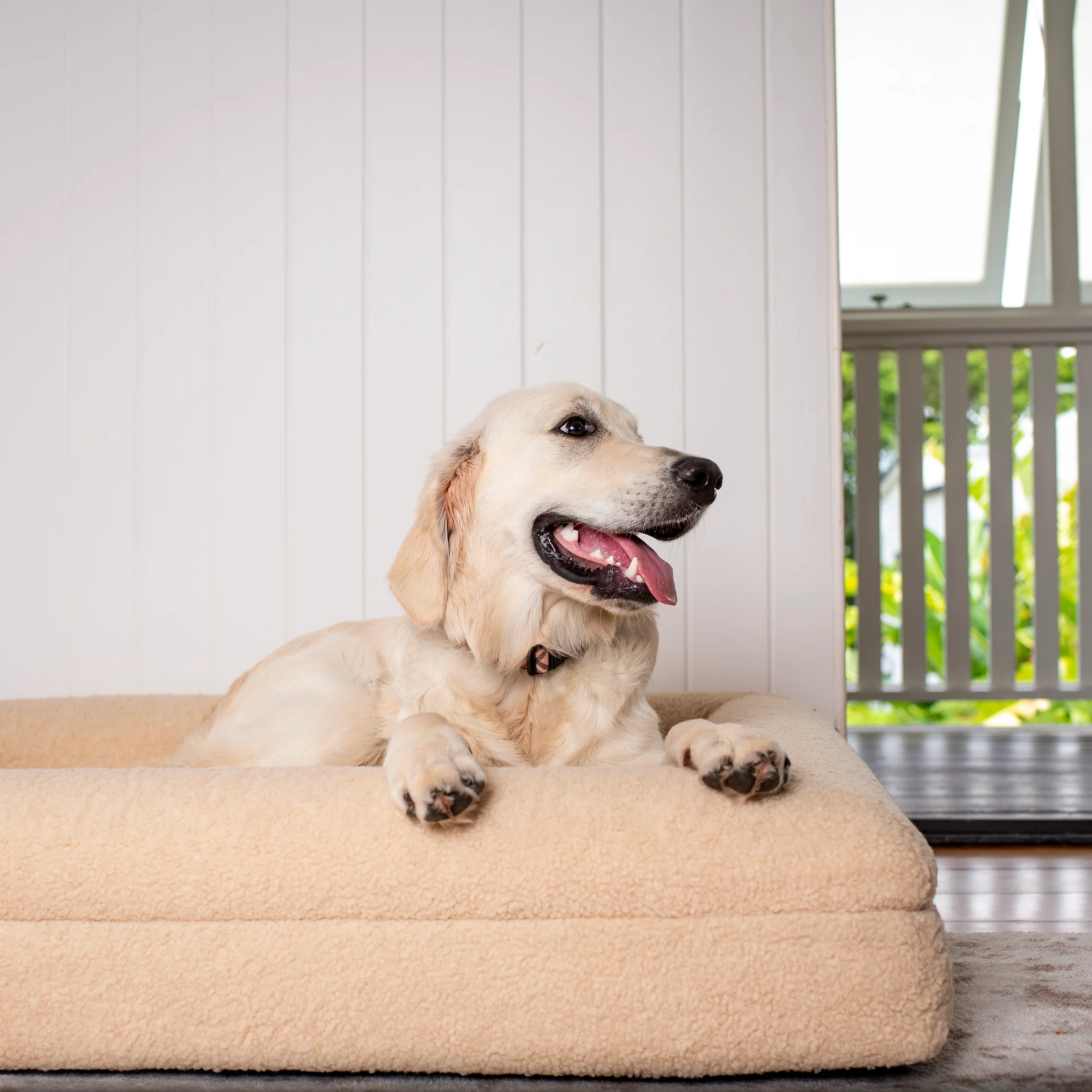 Orthopedic Memory Foam Teddy Dog Bed: Latte - Image 9