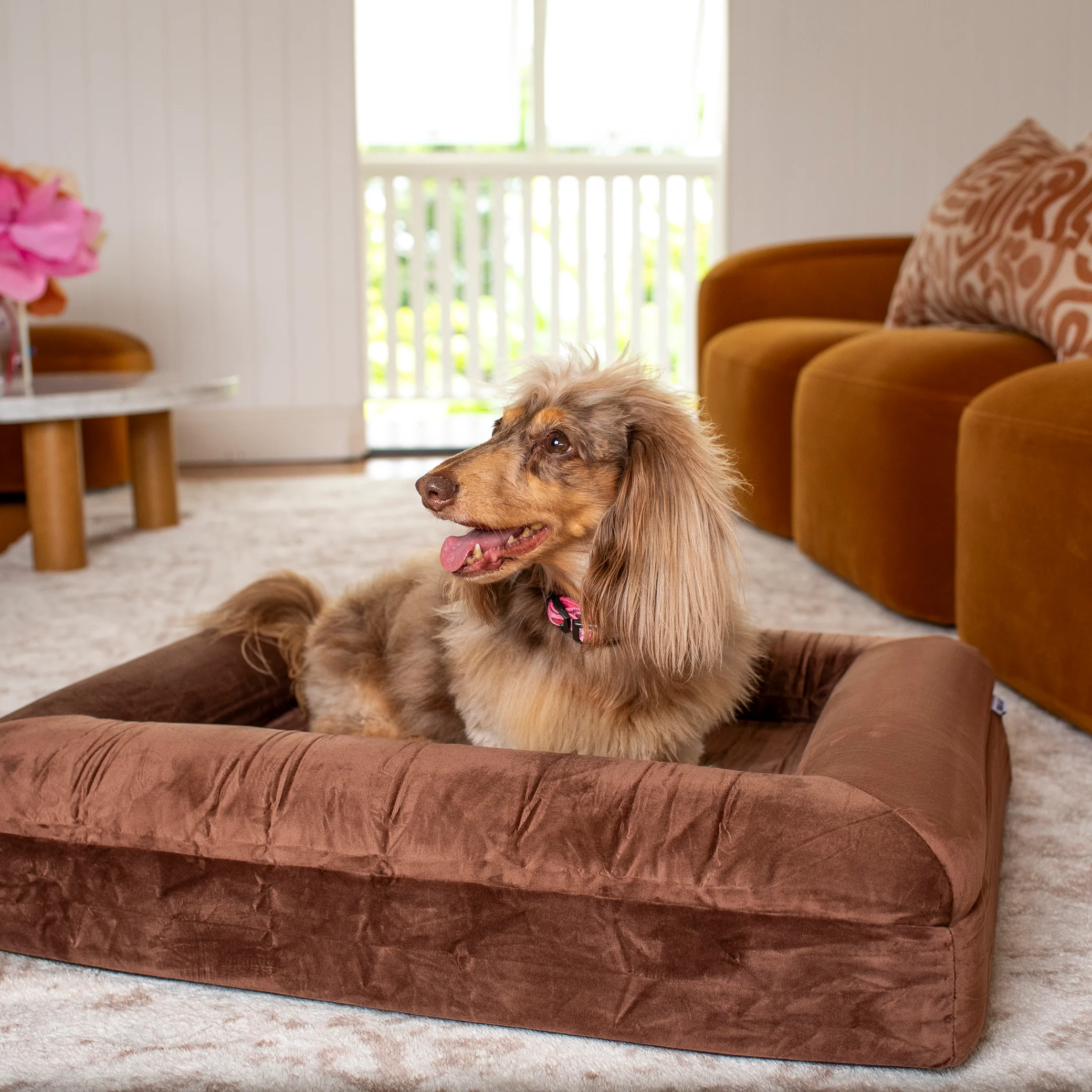 Orthopedic Memory Foam Velvet Dog Bed: Dark Chocolate - Image 15