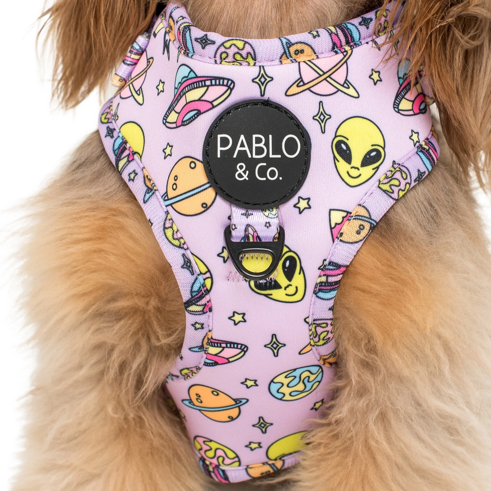 Out of this World: Adjustable Harness - Image 2