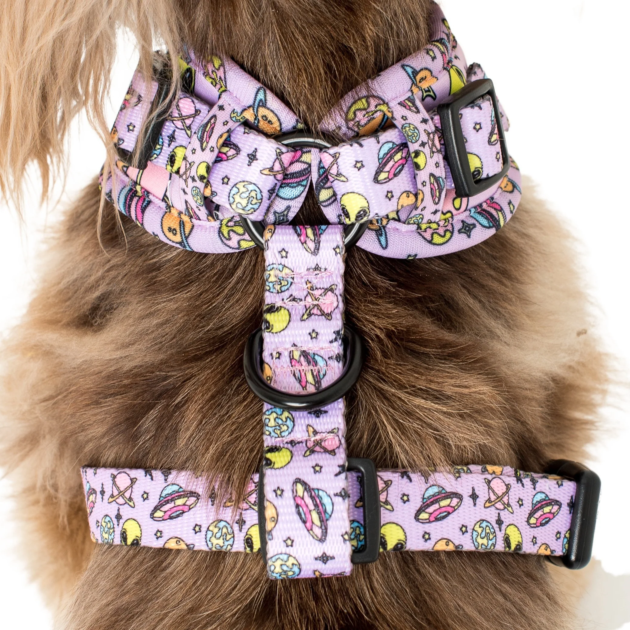 Out of this World: Adjustable Harness - Image 3