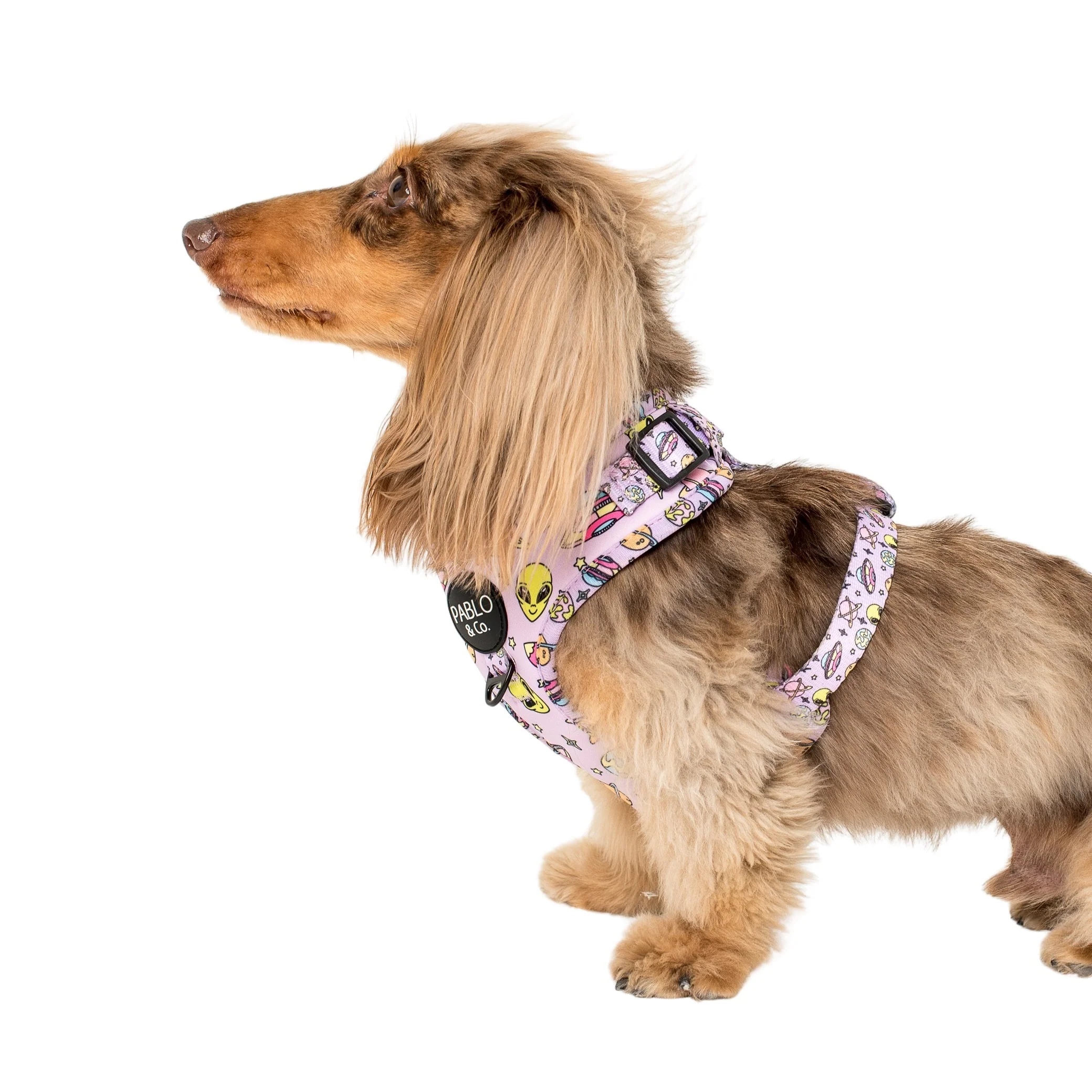 Out of this World: Adjustable Harness - Image 4