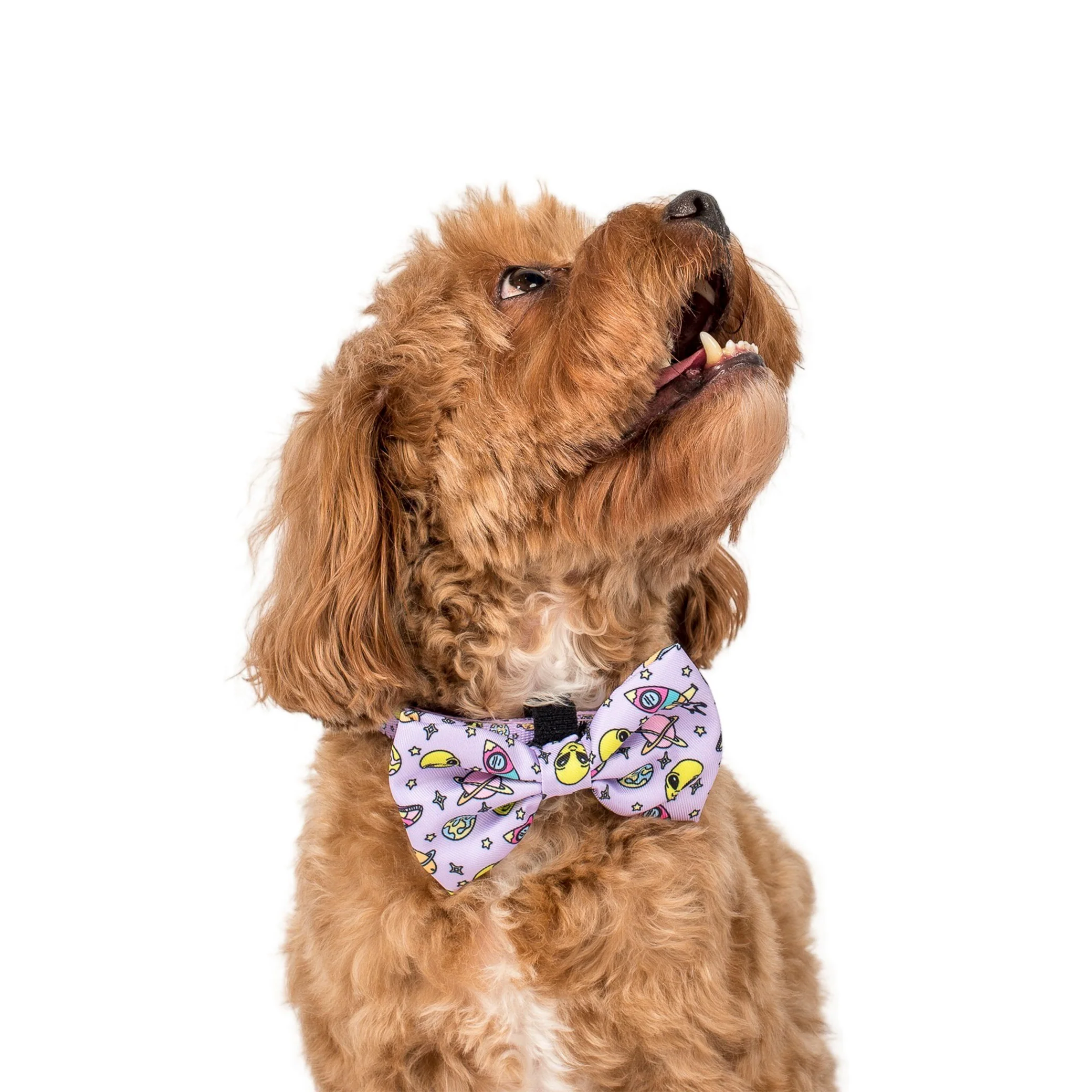 Out of This World: Bow Tie - Image 2