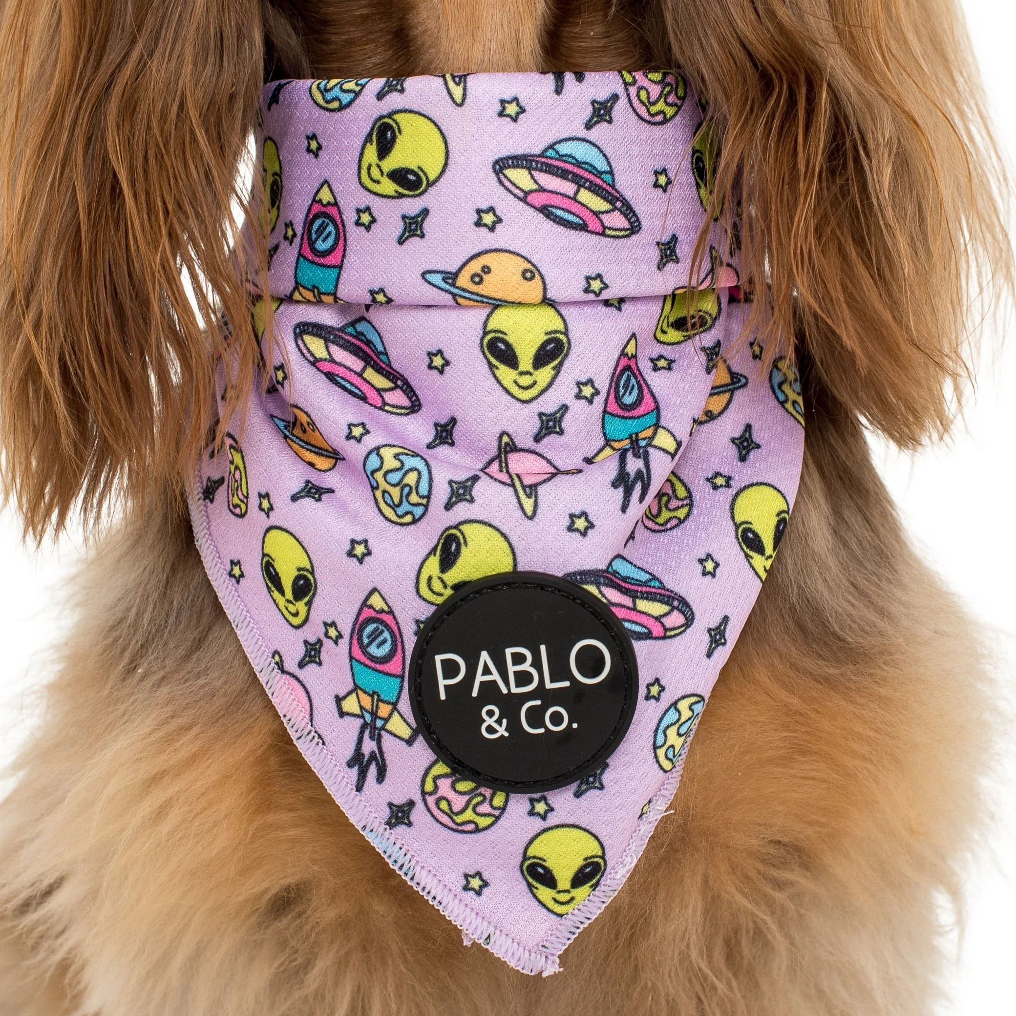 Out of This World - Dog Bandana