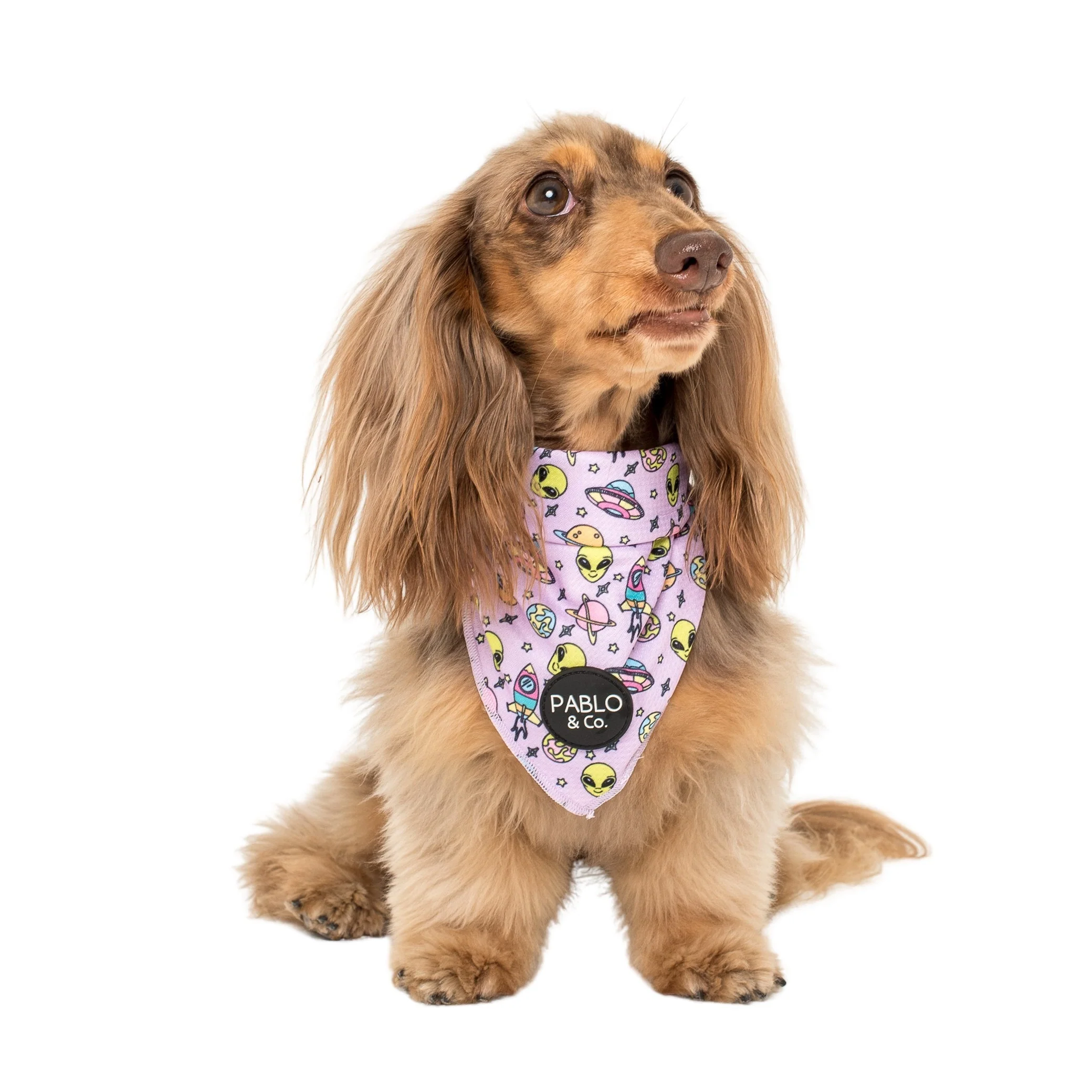 Out of This World - Dog Bandana - Image 2