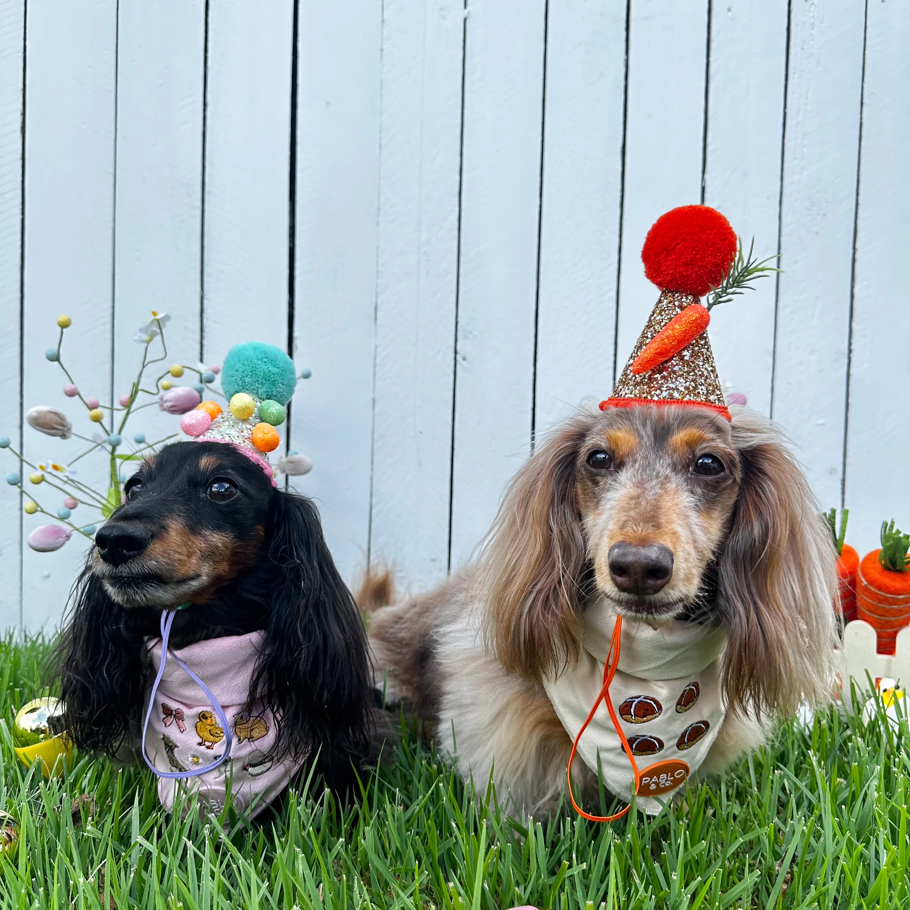 Pablo's Easter Pawty Hat: Easter Eggs - Image 3