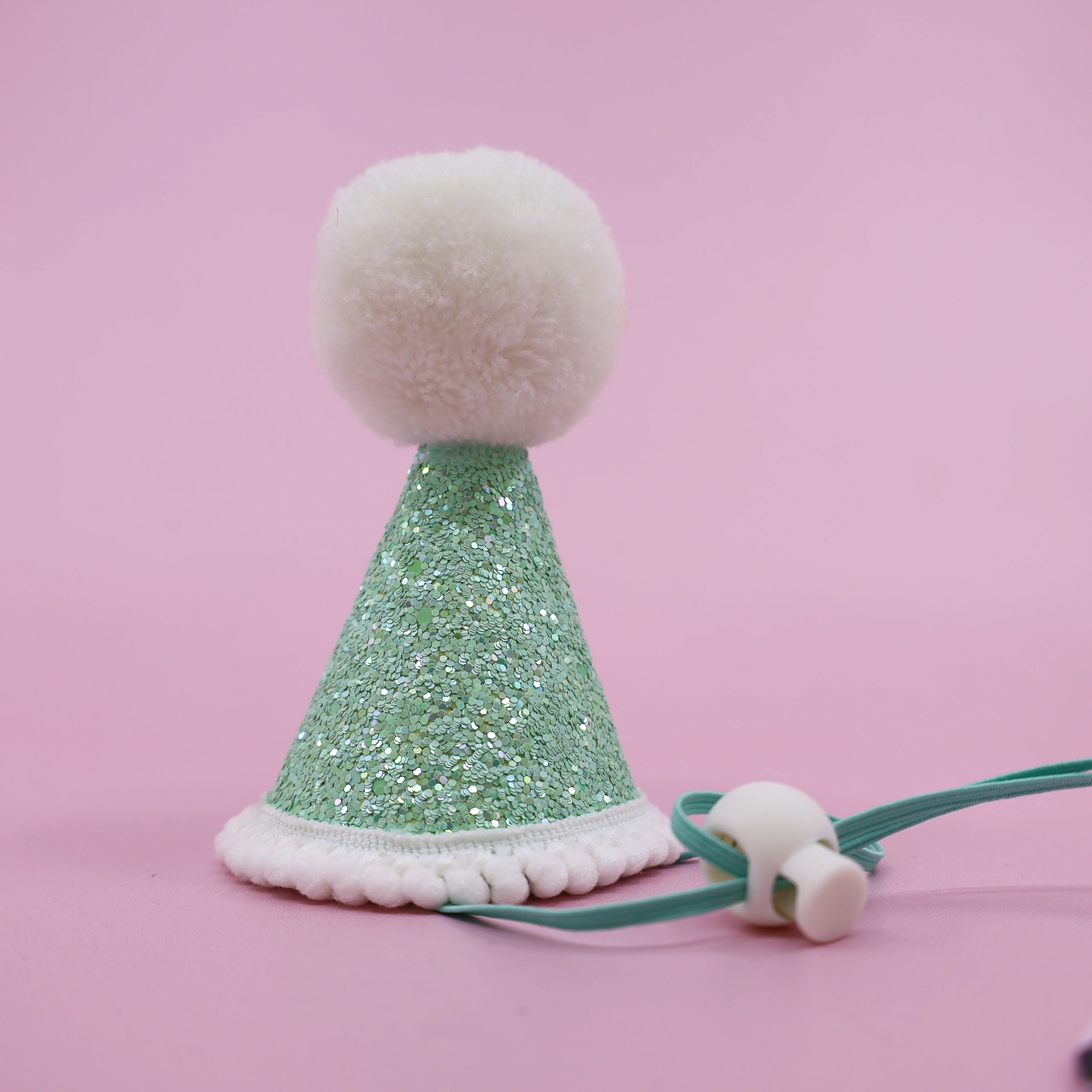 Pablo's Pawty Hat: Mint & White