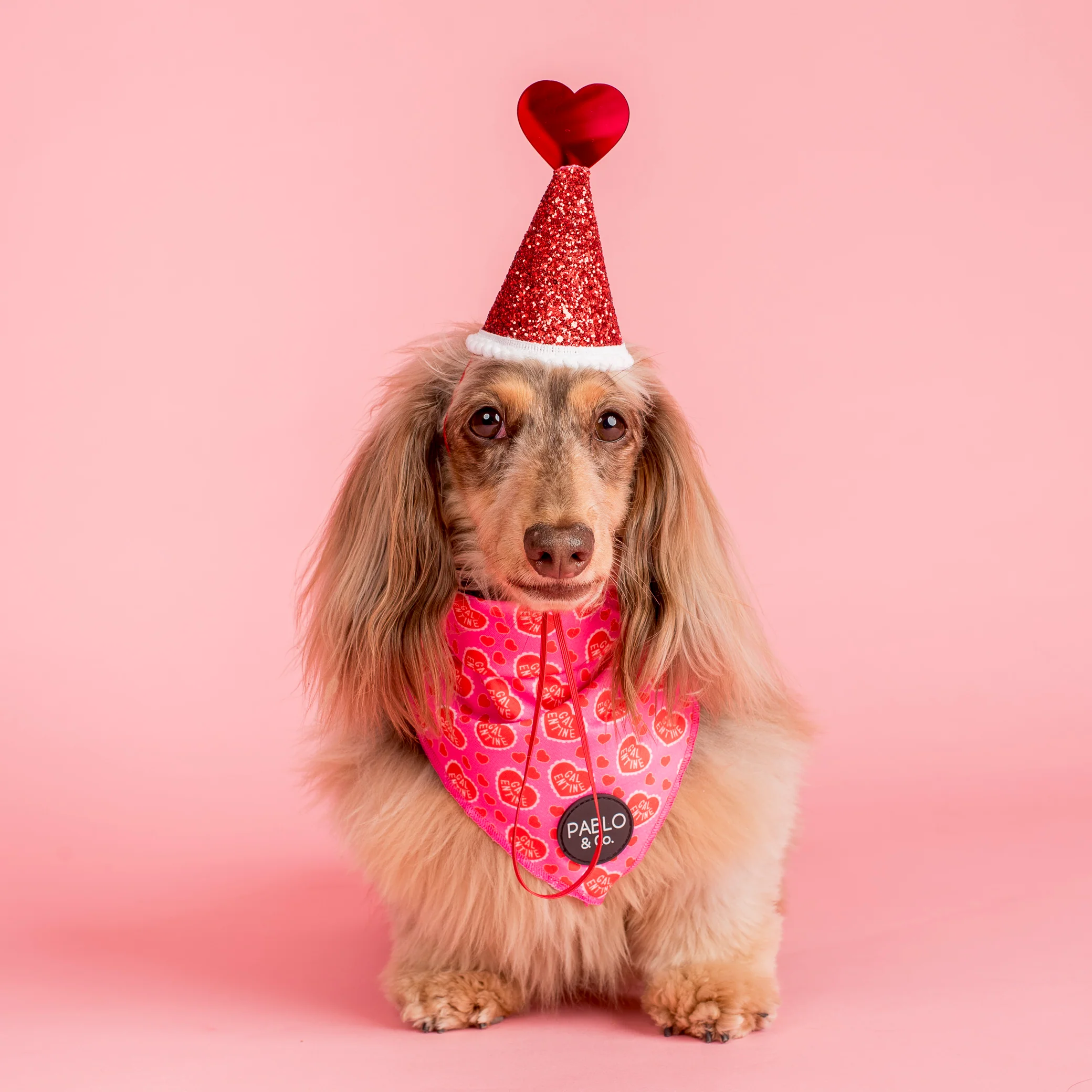 Pablo's Pawty Hat: Red Heart