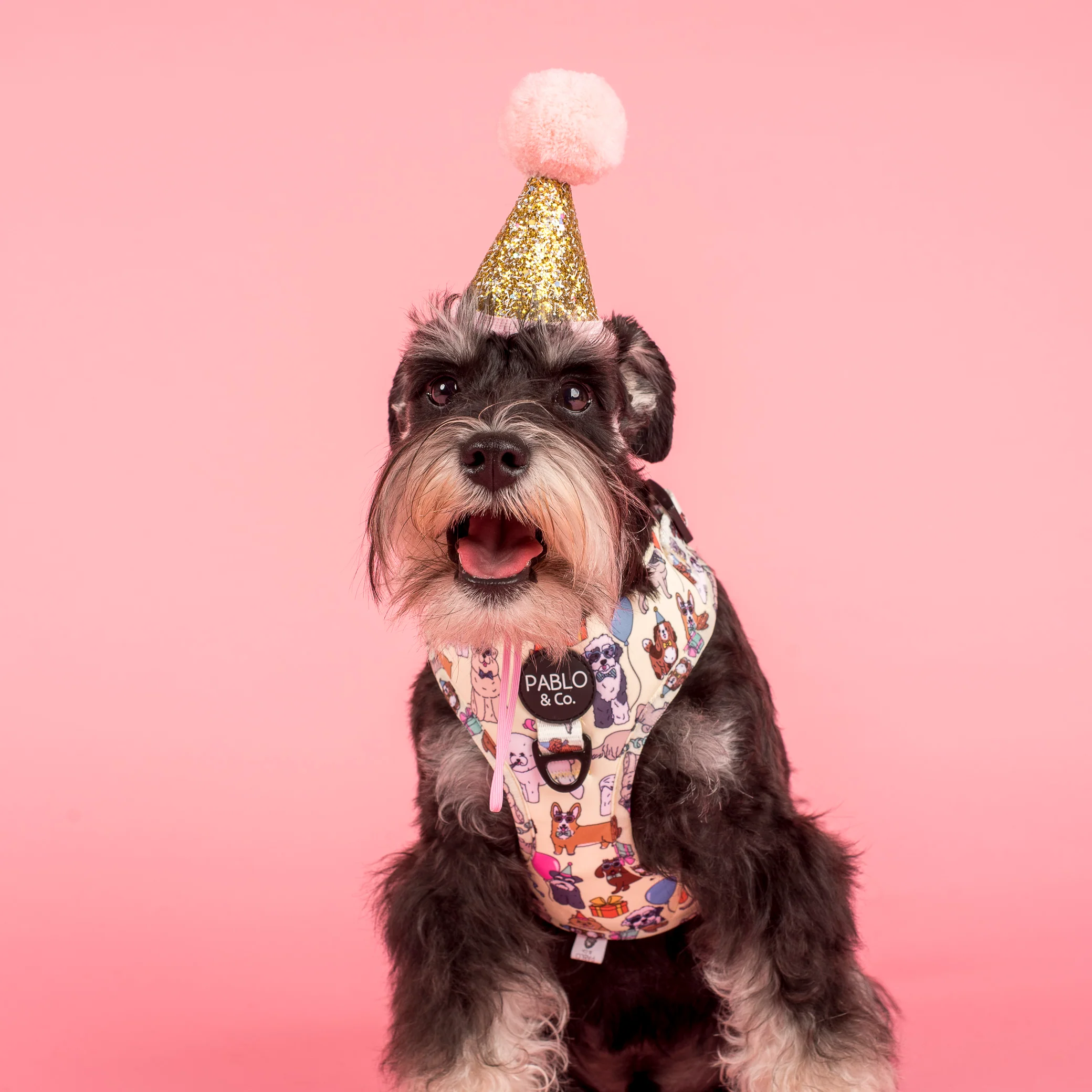 Party Dawgs: Adjustable Harness - Image 5