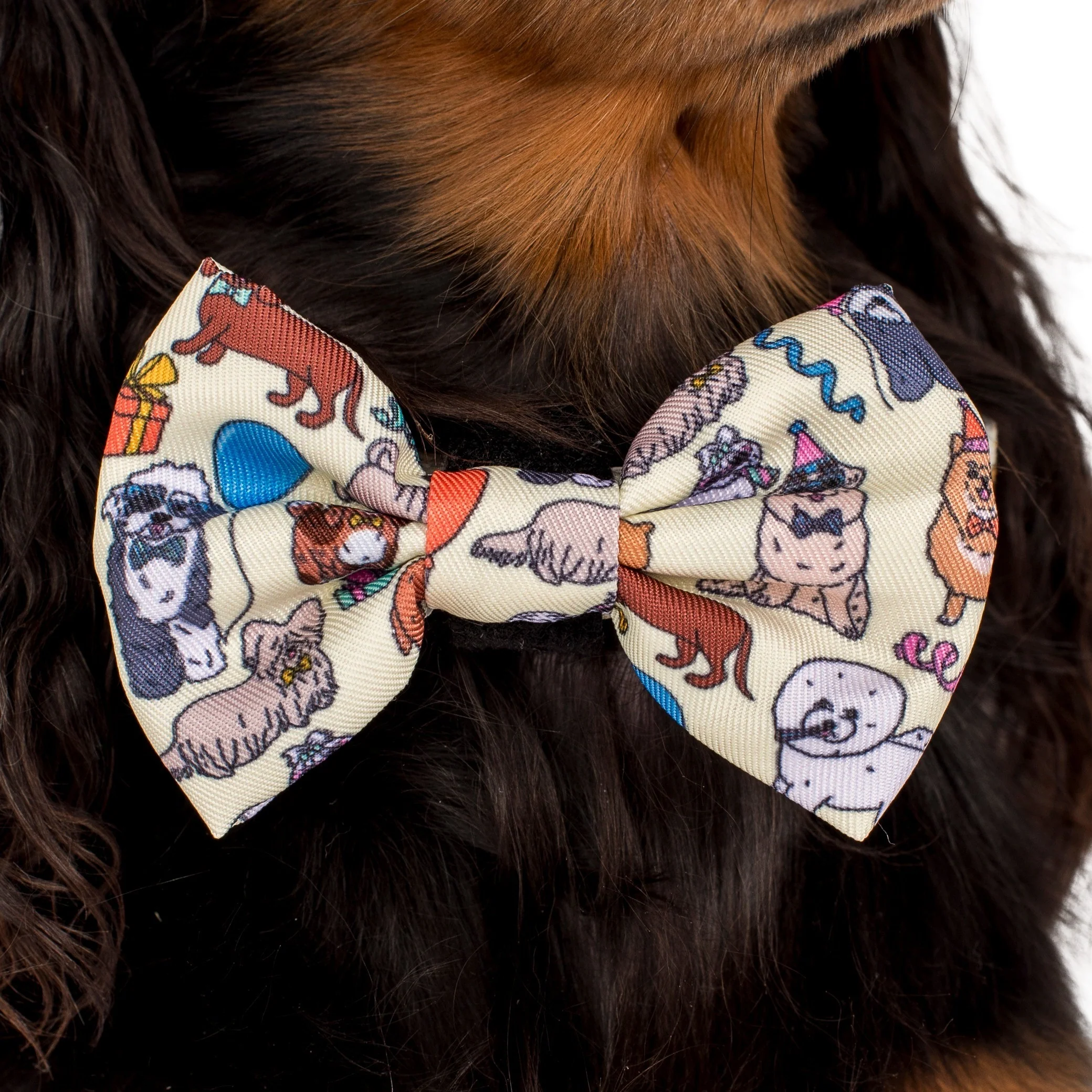Party Dawgs: Bow Tie - Image 2