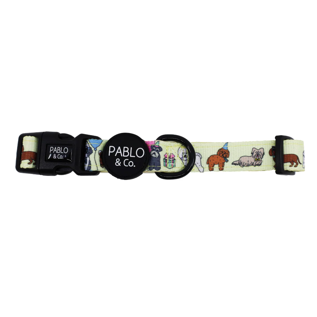Party Dawgs: Collar - Image 2