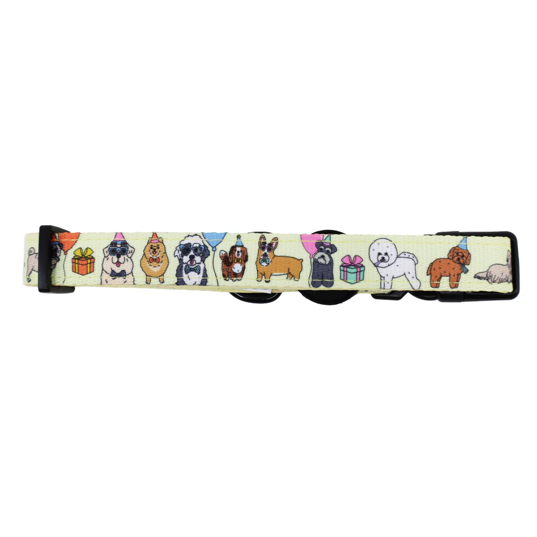 Party Dawgs: Collar - Image 3