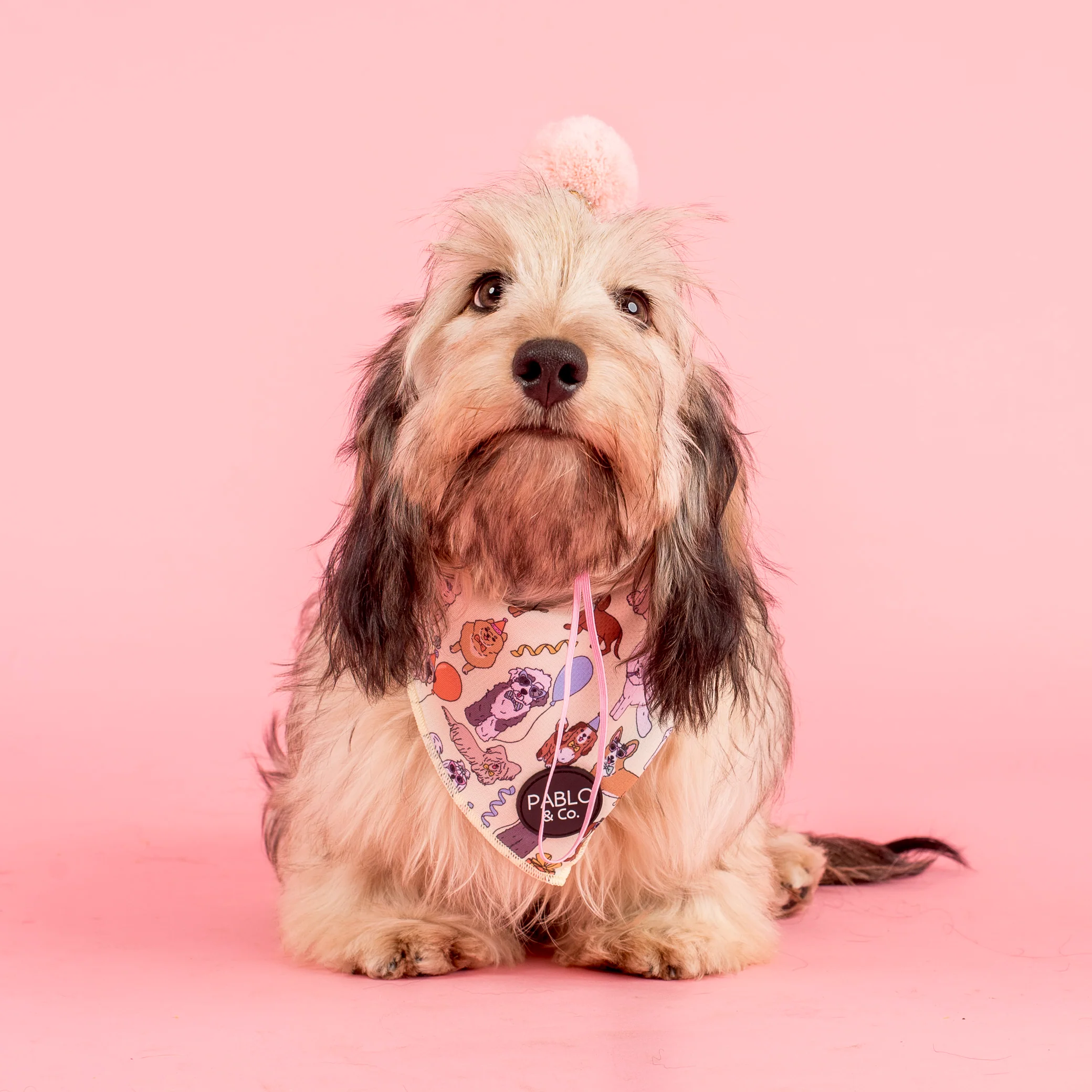 Party Dawgs: Dog Bandana