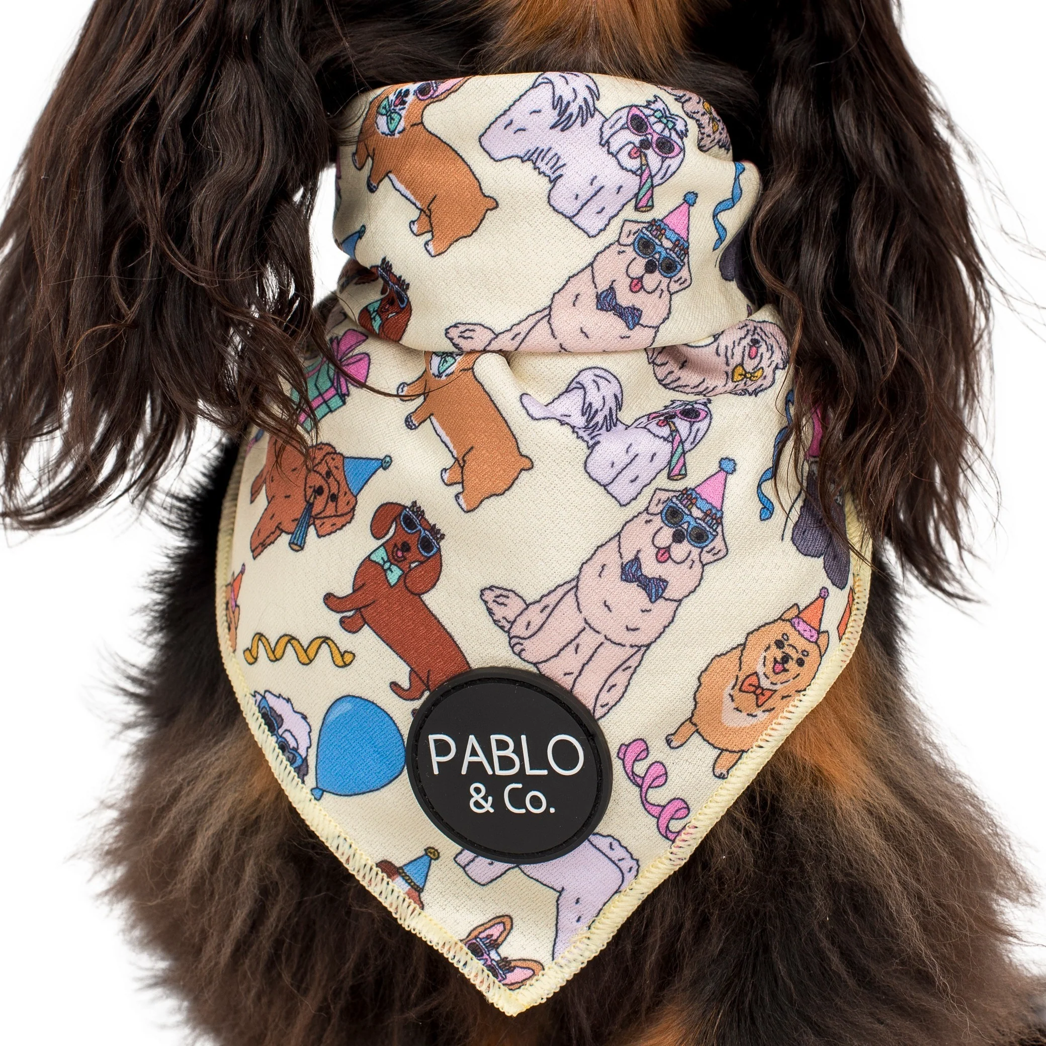 Party Dawgs: Dog Bandana - Image 2