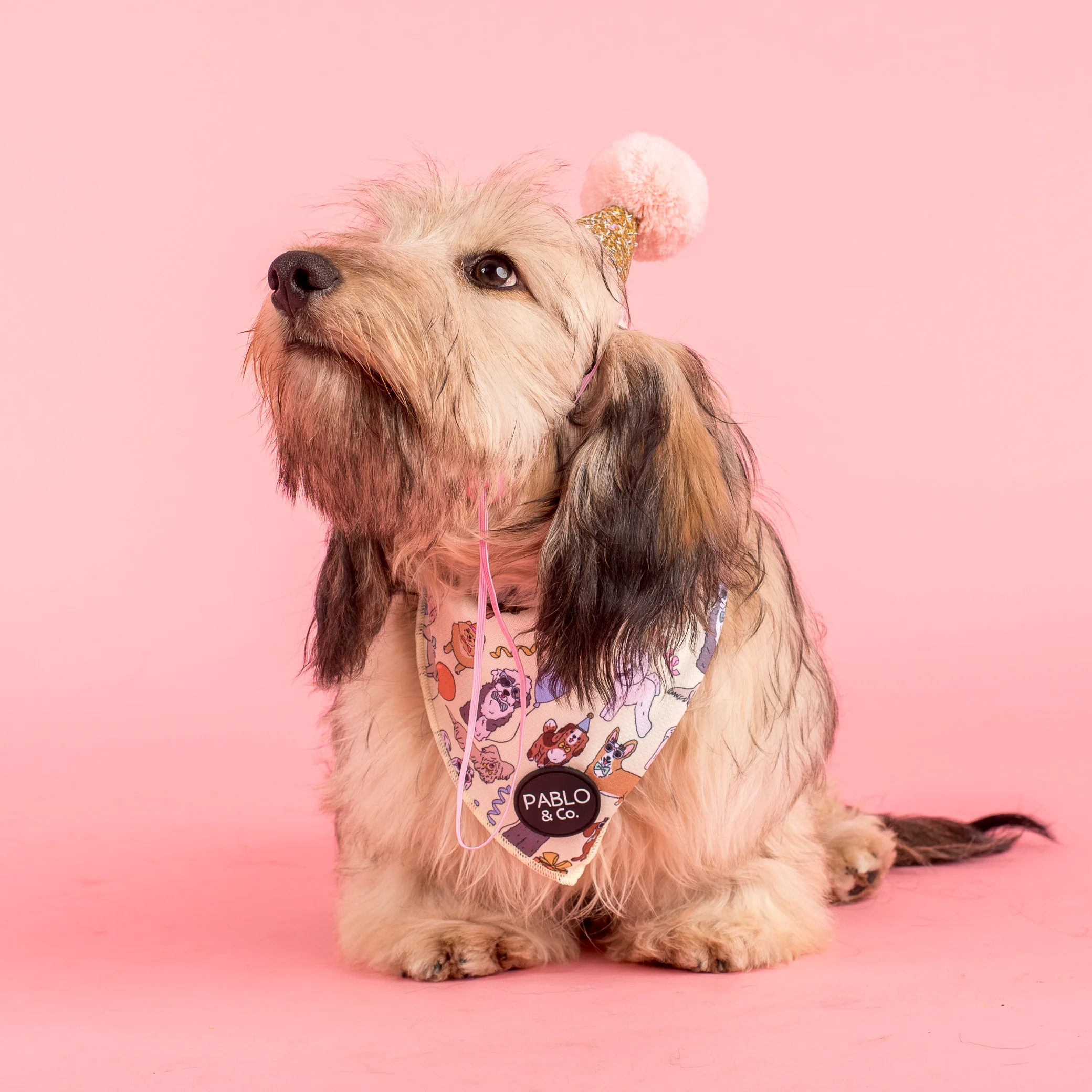 Party Dawgs: Dog Bandana - Image 3