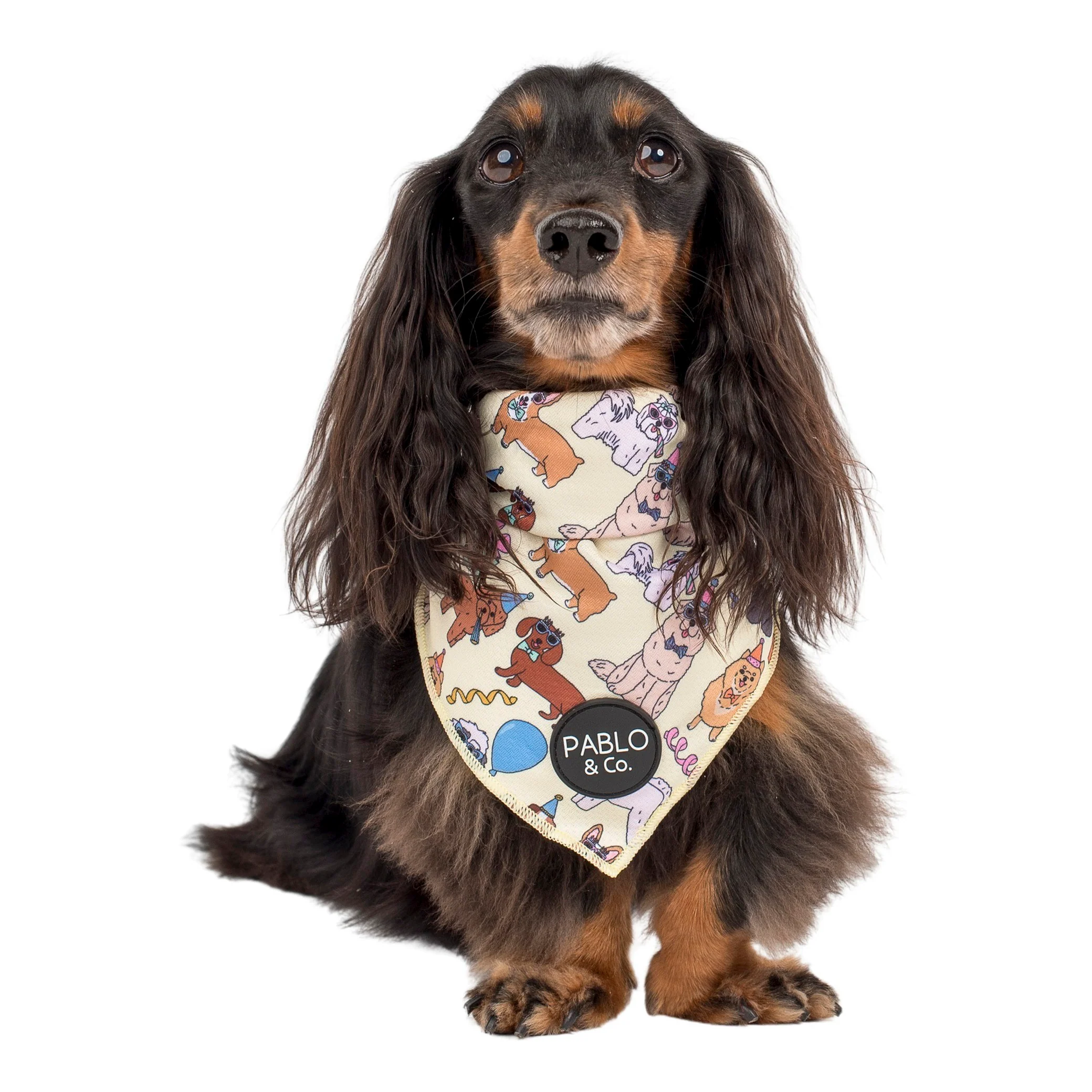 Party Dawgs: Dog Bandana - Image 4
