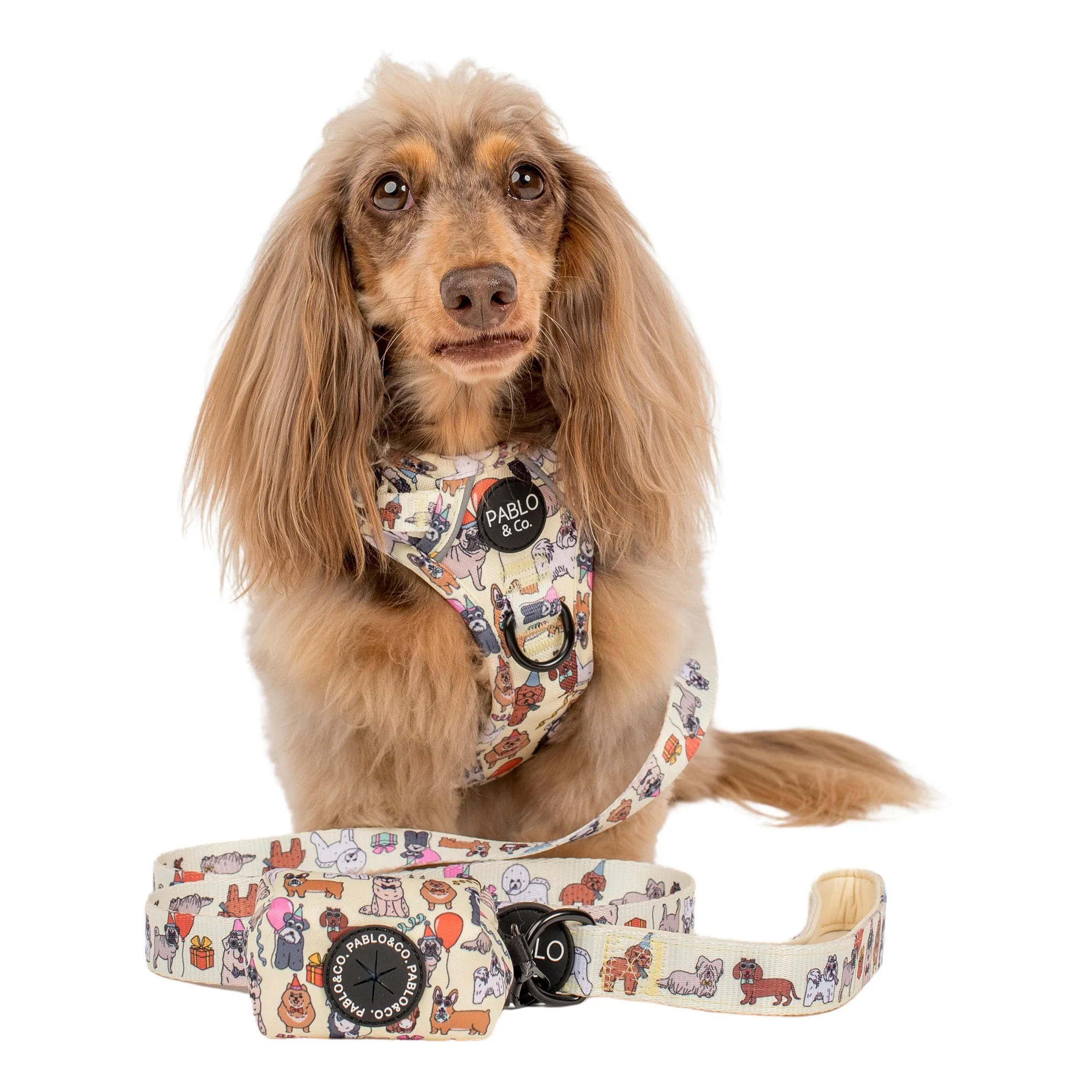 Party Dawgs: Poop Bag Holder - Image 4
