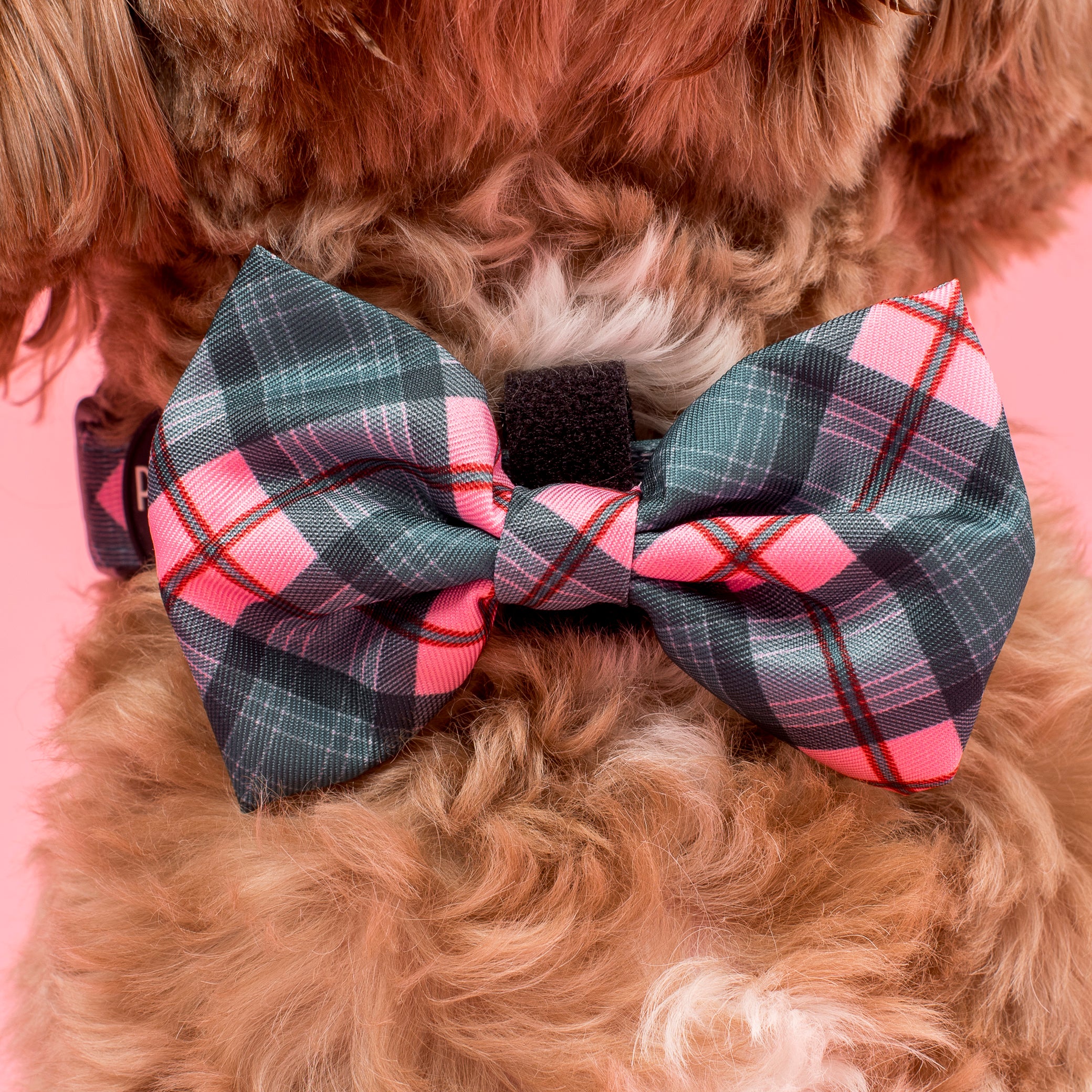 Patch's Plaid: Bow Tie - Image 2
