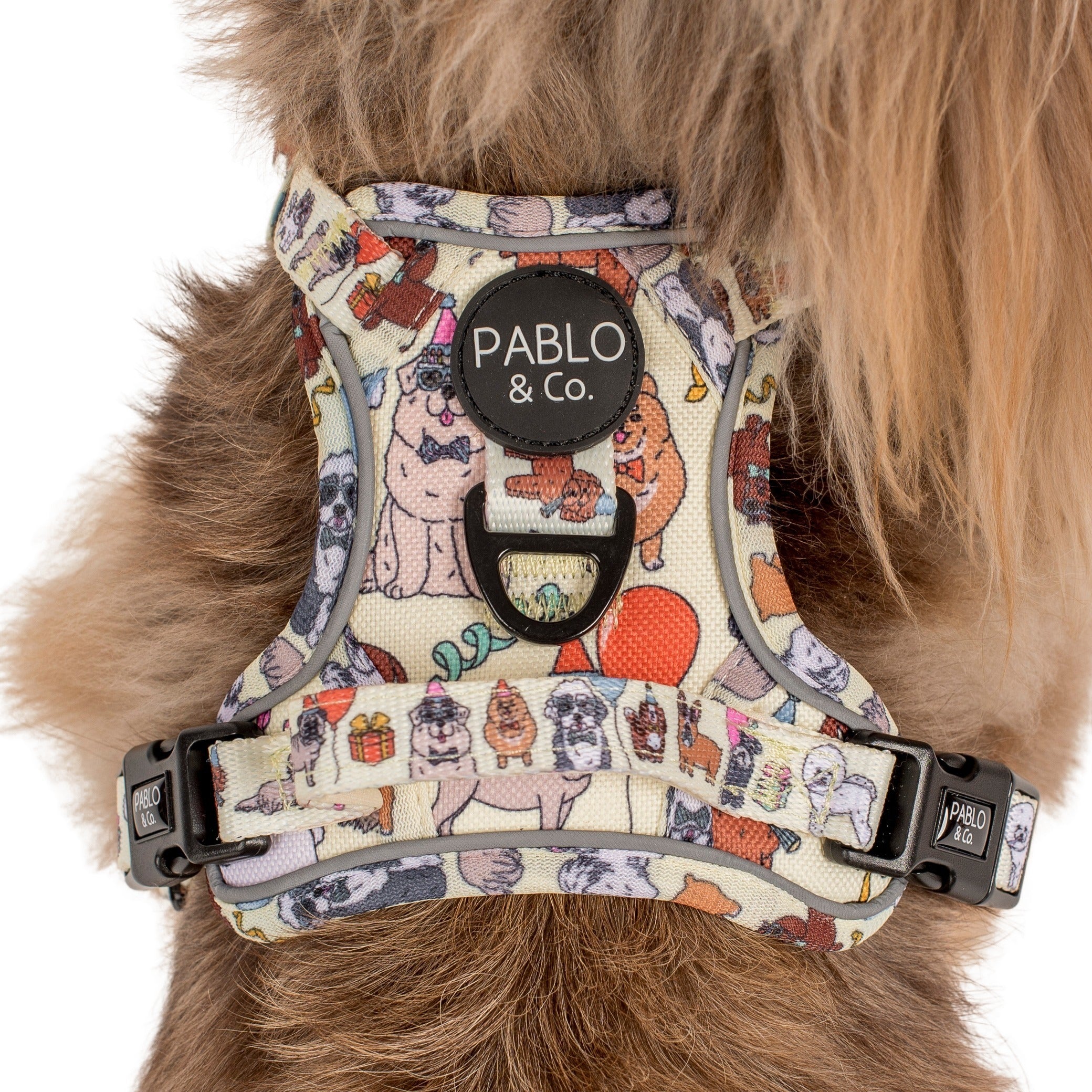 Party Dawgs: No Pull Adventure Harness - Image 3