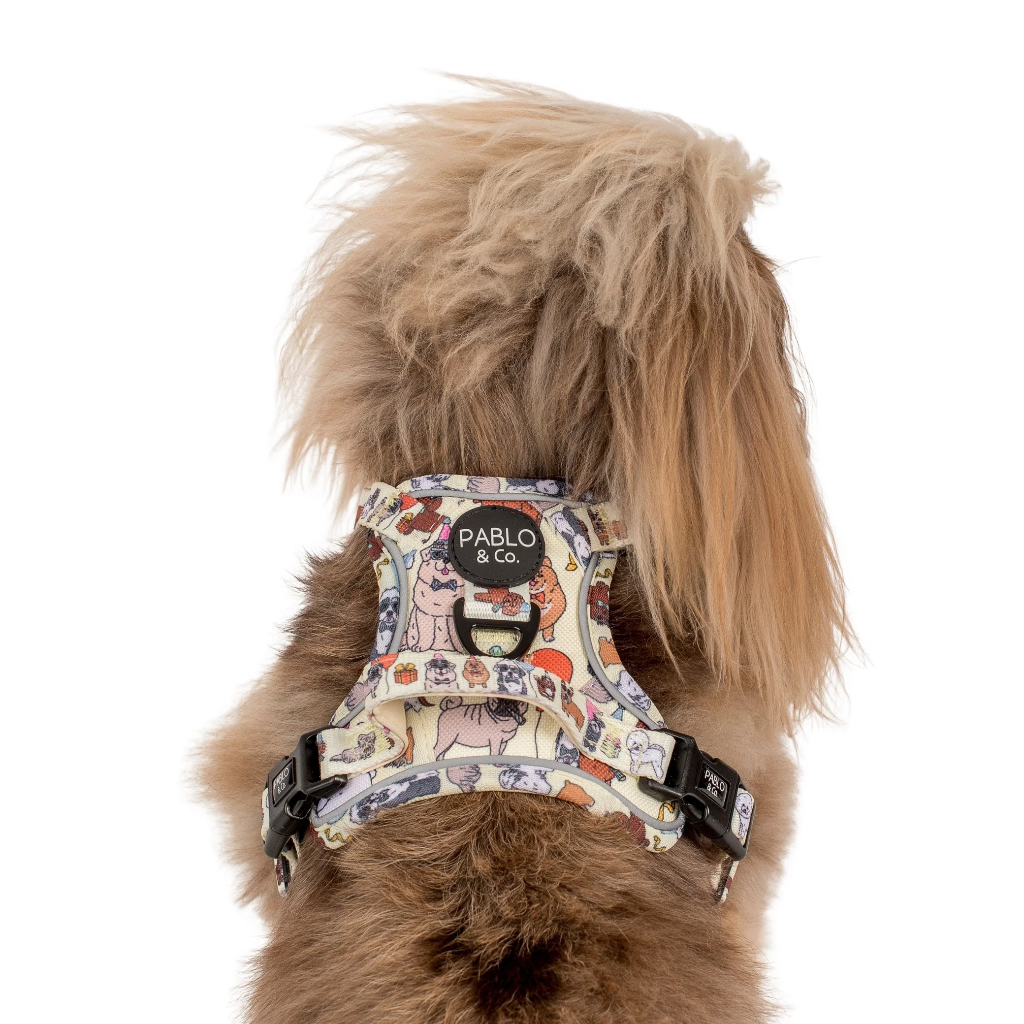 Party Dawgs: No Pull Adventure Harness - Image 6