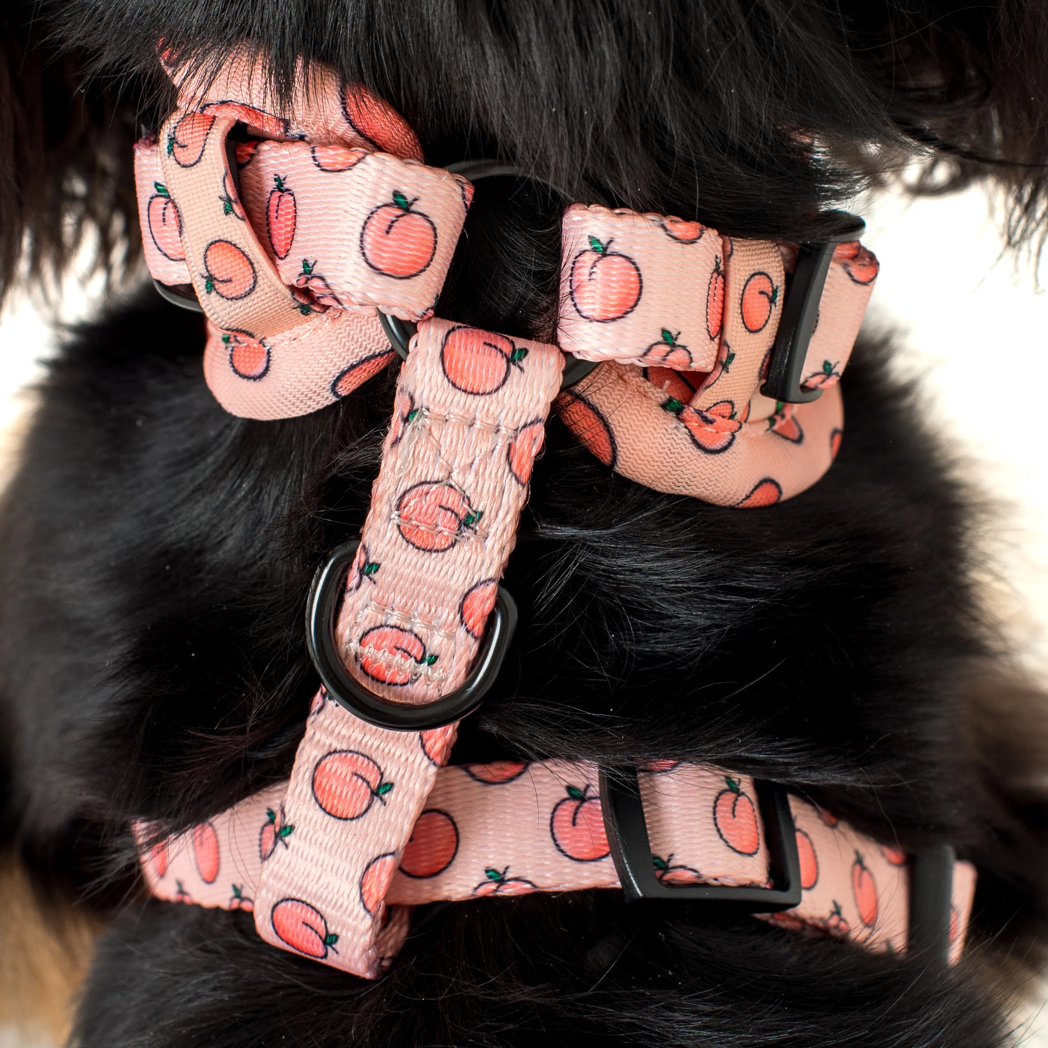 Peaches & Cream: Adjustable Harness - Image 4