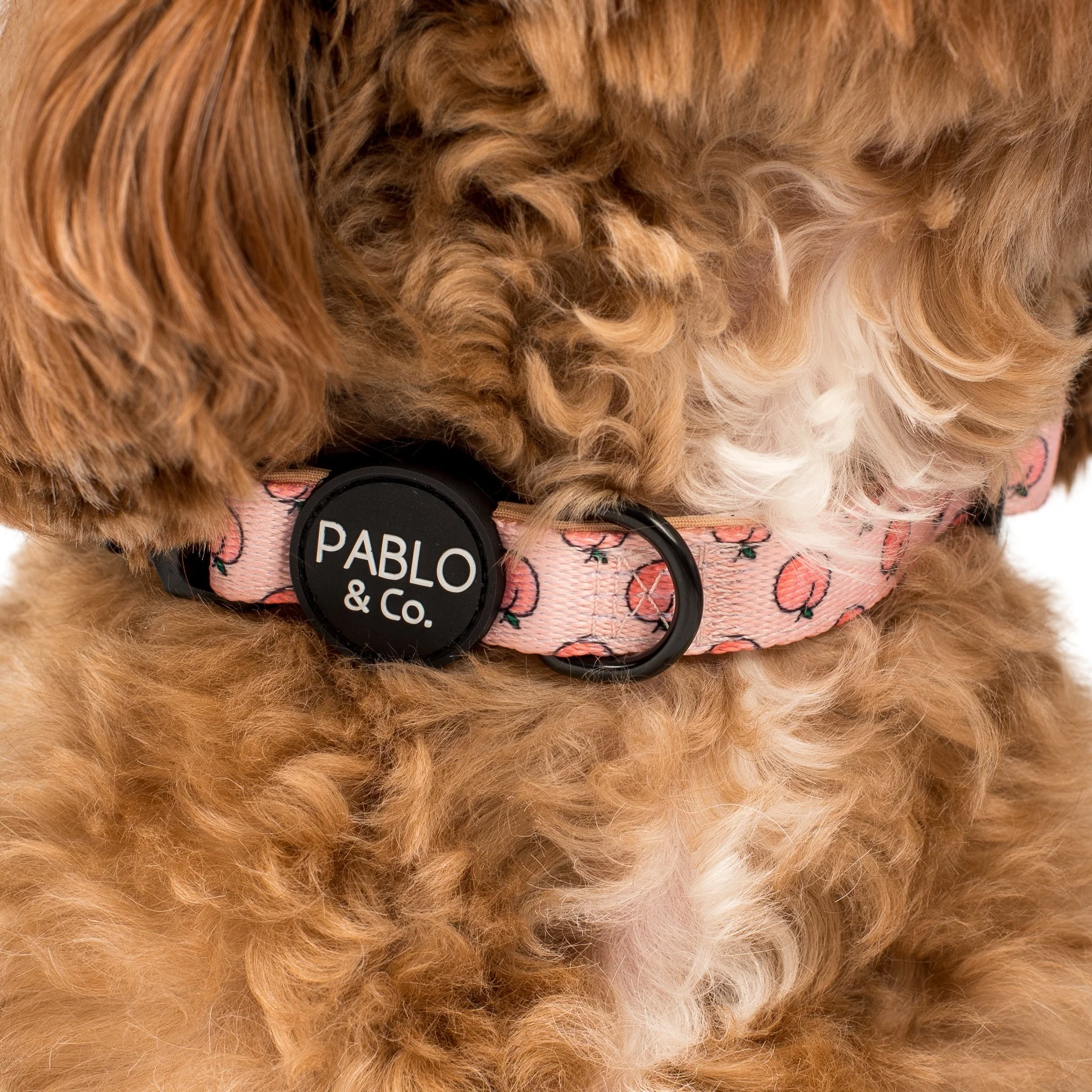 Peaches & Cream: Collar - Image 2