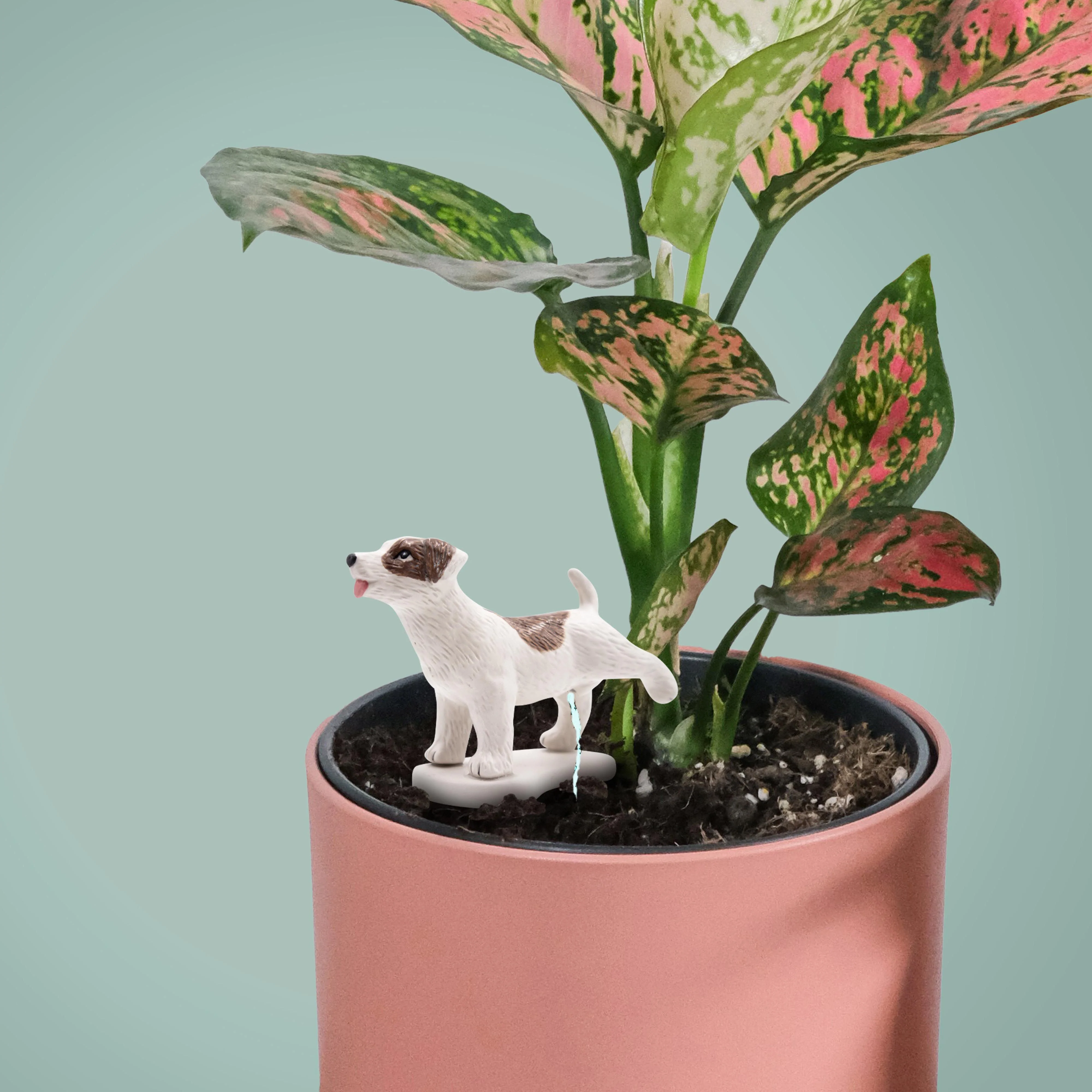 Pee My Plants: Dog Watering Decoration - Image 2
