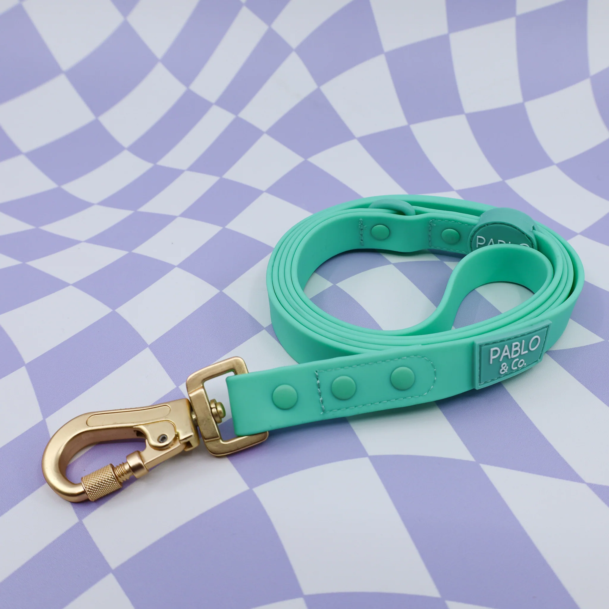 Peppermint: Waterproof Leash