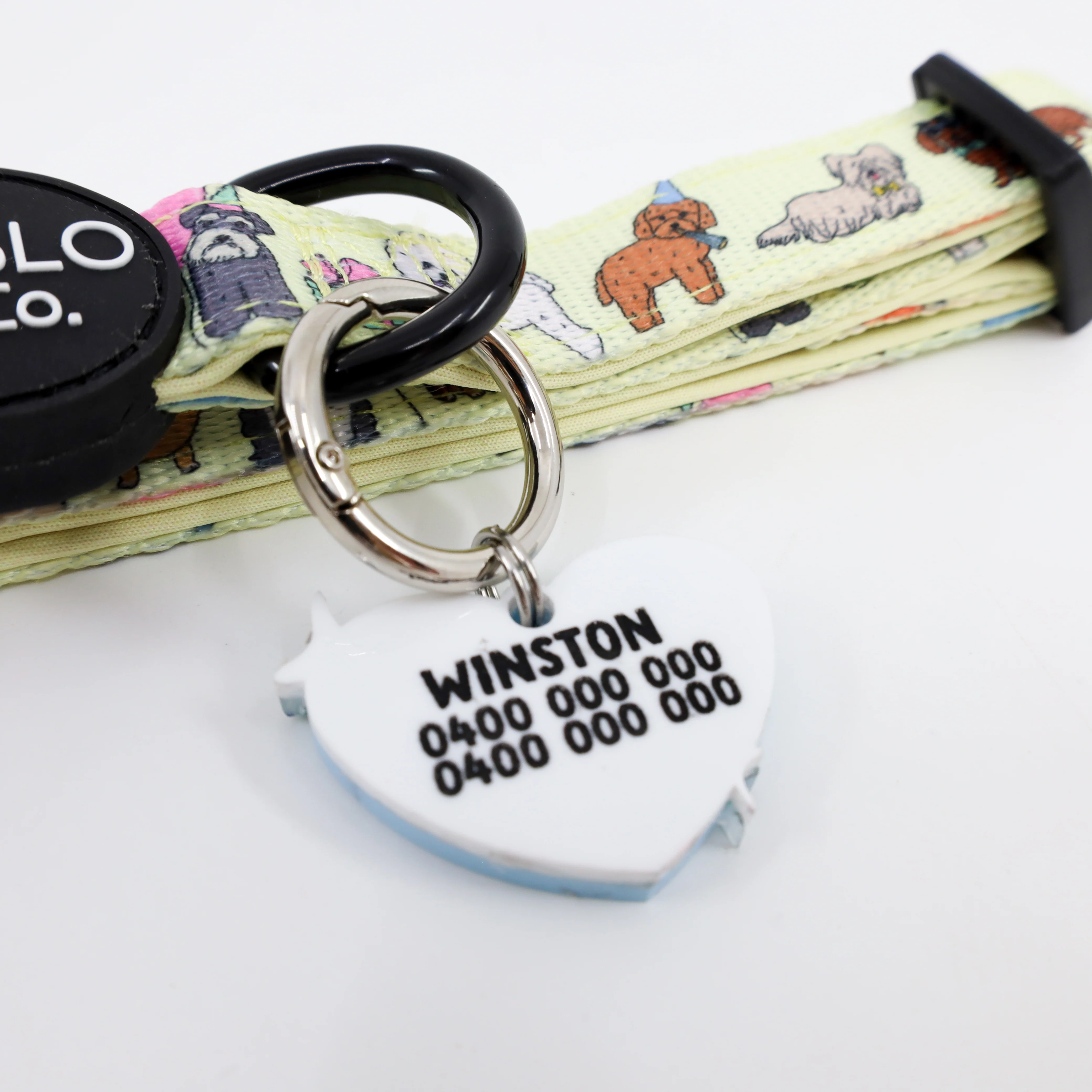 Personalised Pet ID Tag: Birthday Boy - Image 3