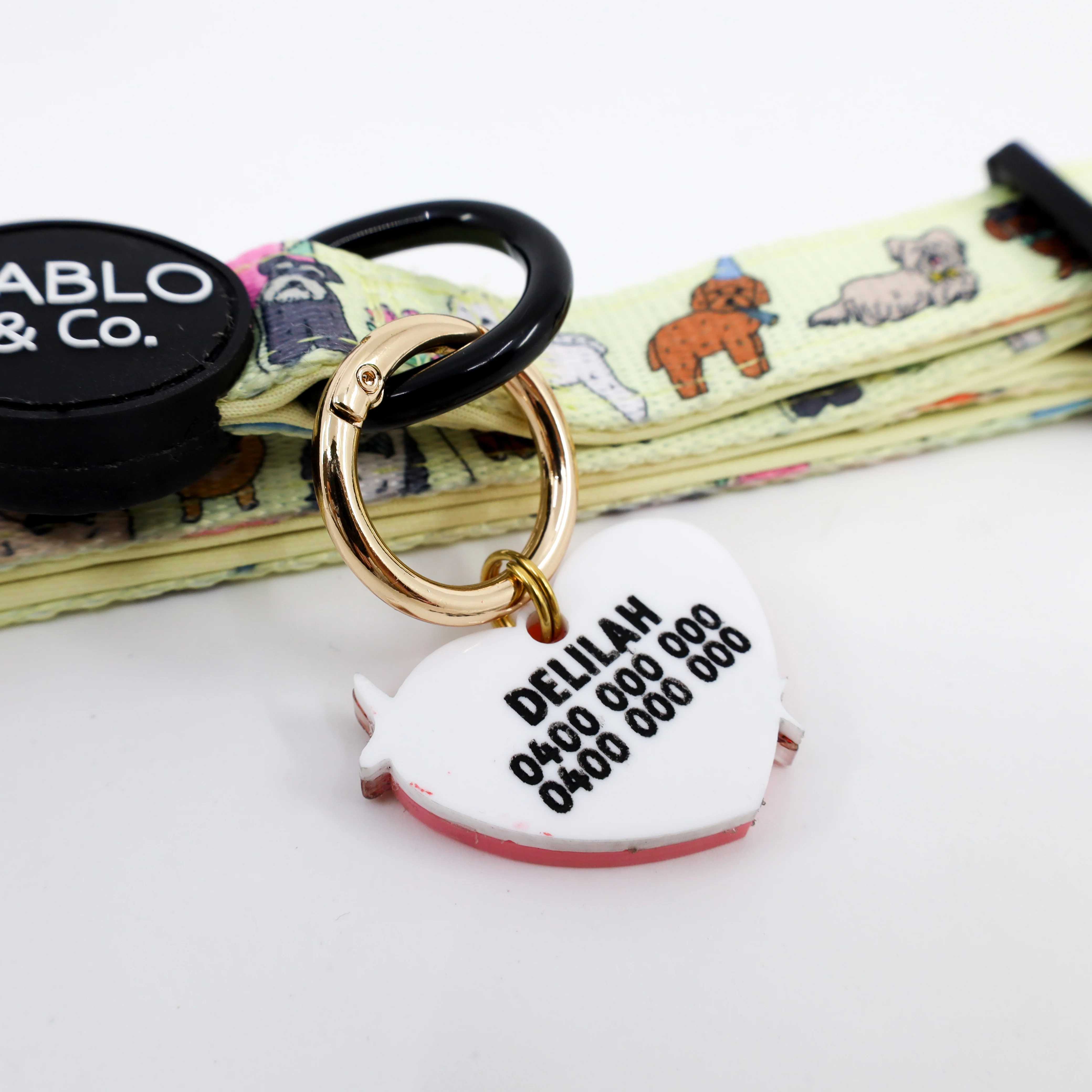 Personalised Pet ID Tag: Birthday Girl - Image 2