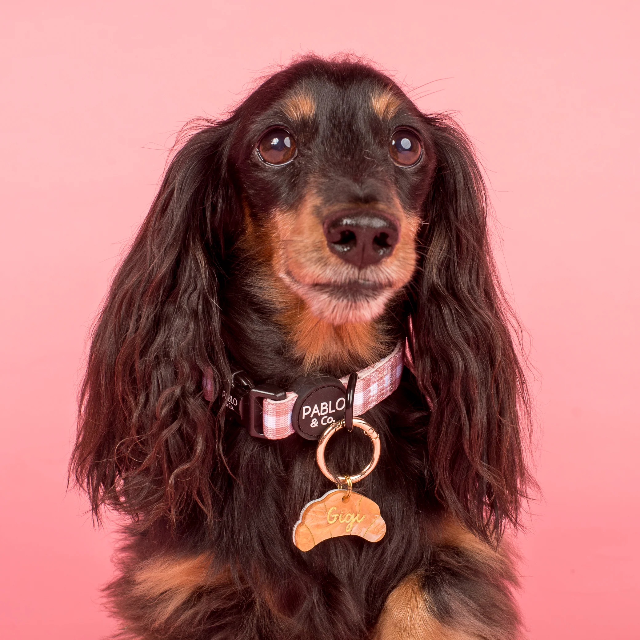 Personalised Pet ID Tag: Croissant