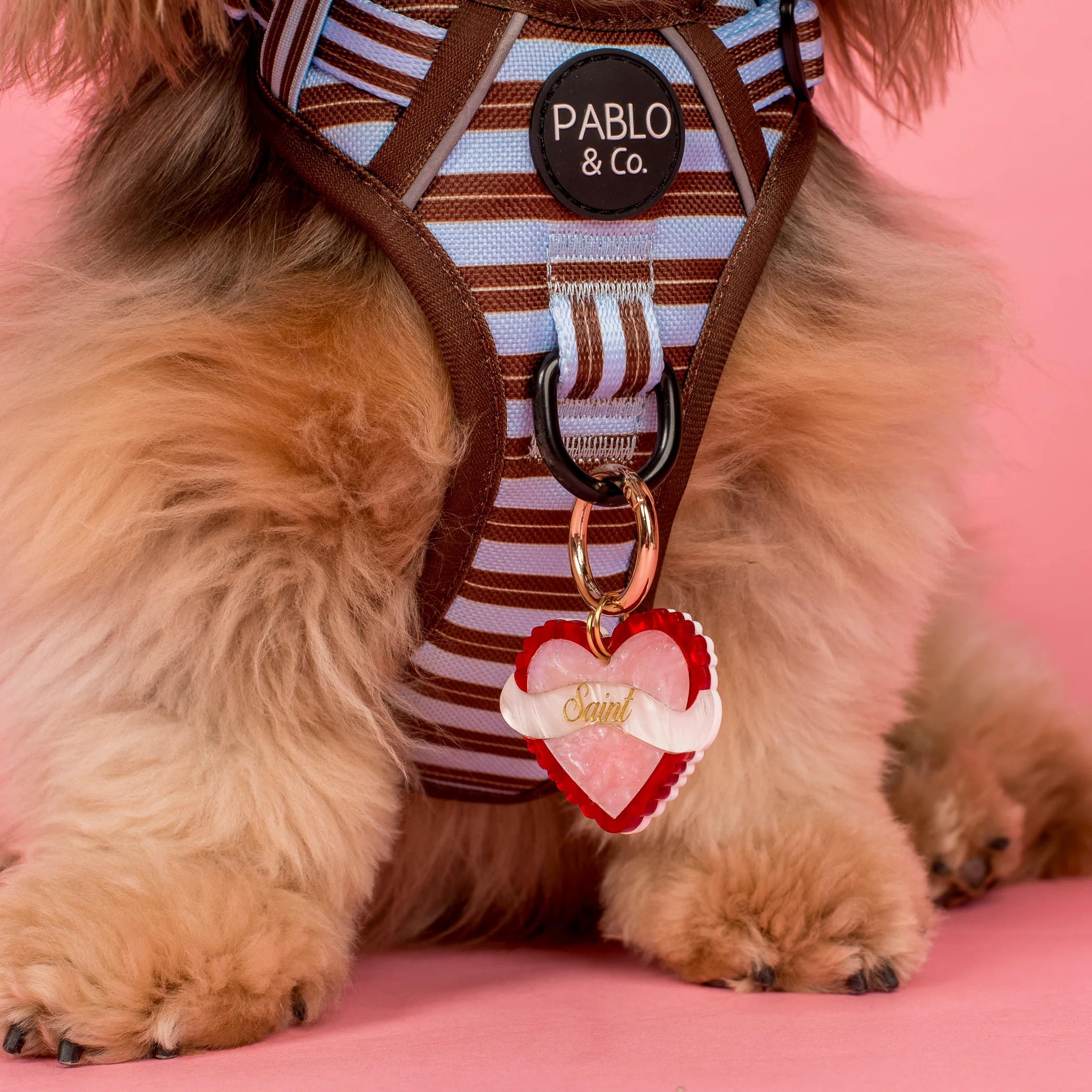Personalised Pet ID Tag: Heart Throb Pink - Image 3