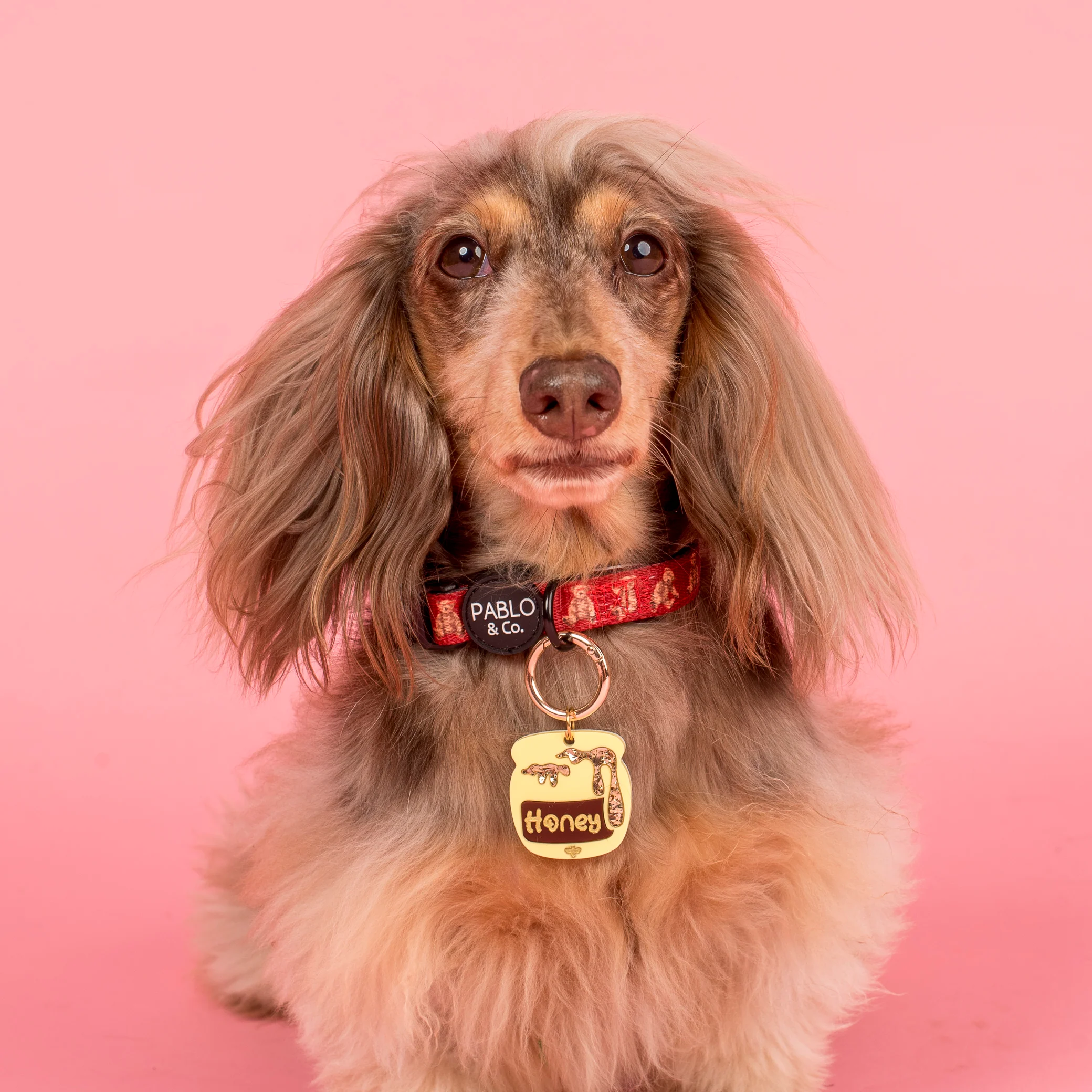 Personalised Pet ID Tag: Honey Pot - Image 2