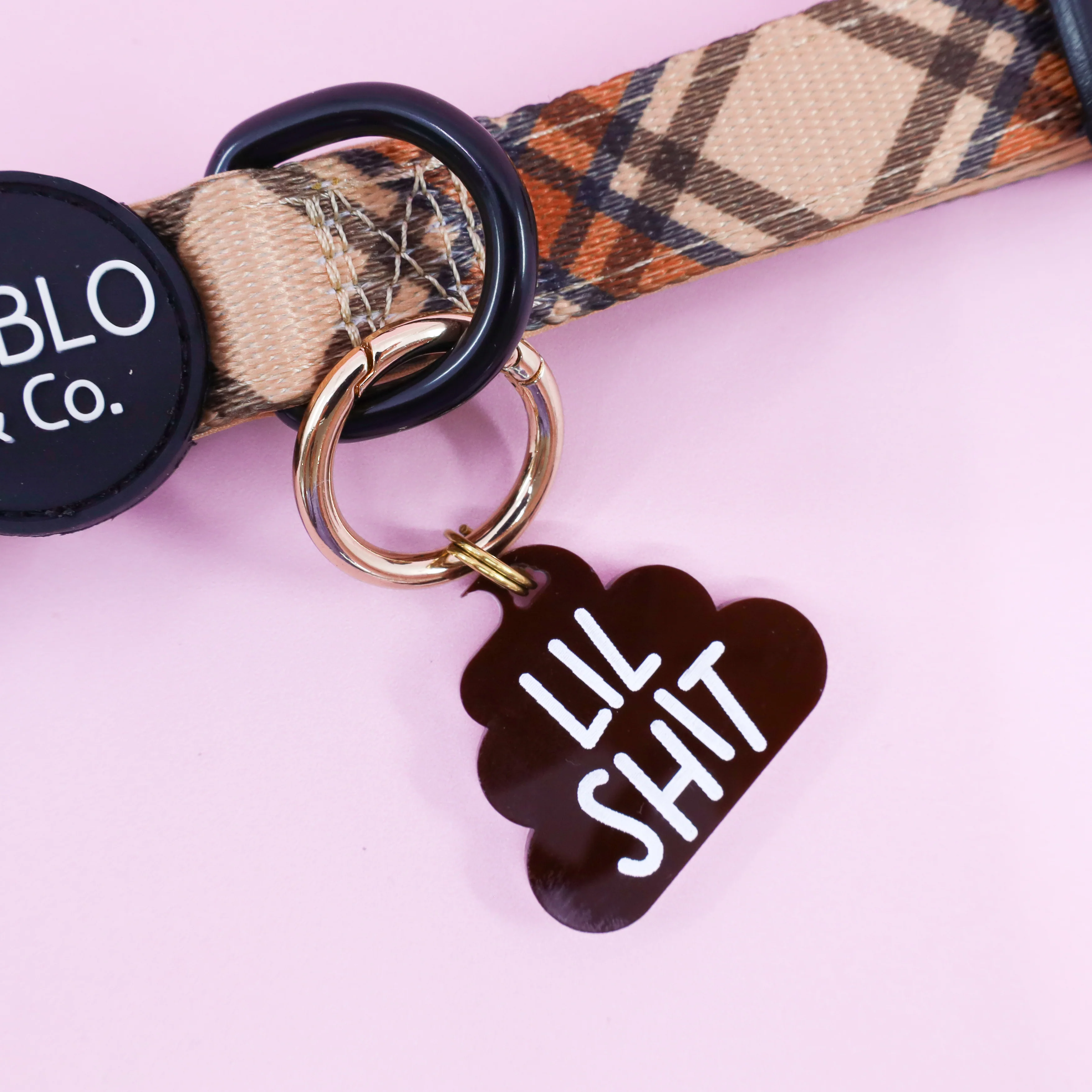 Personalised Pet ID Tag: Lil Shit