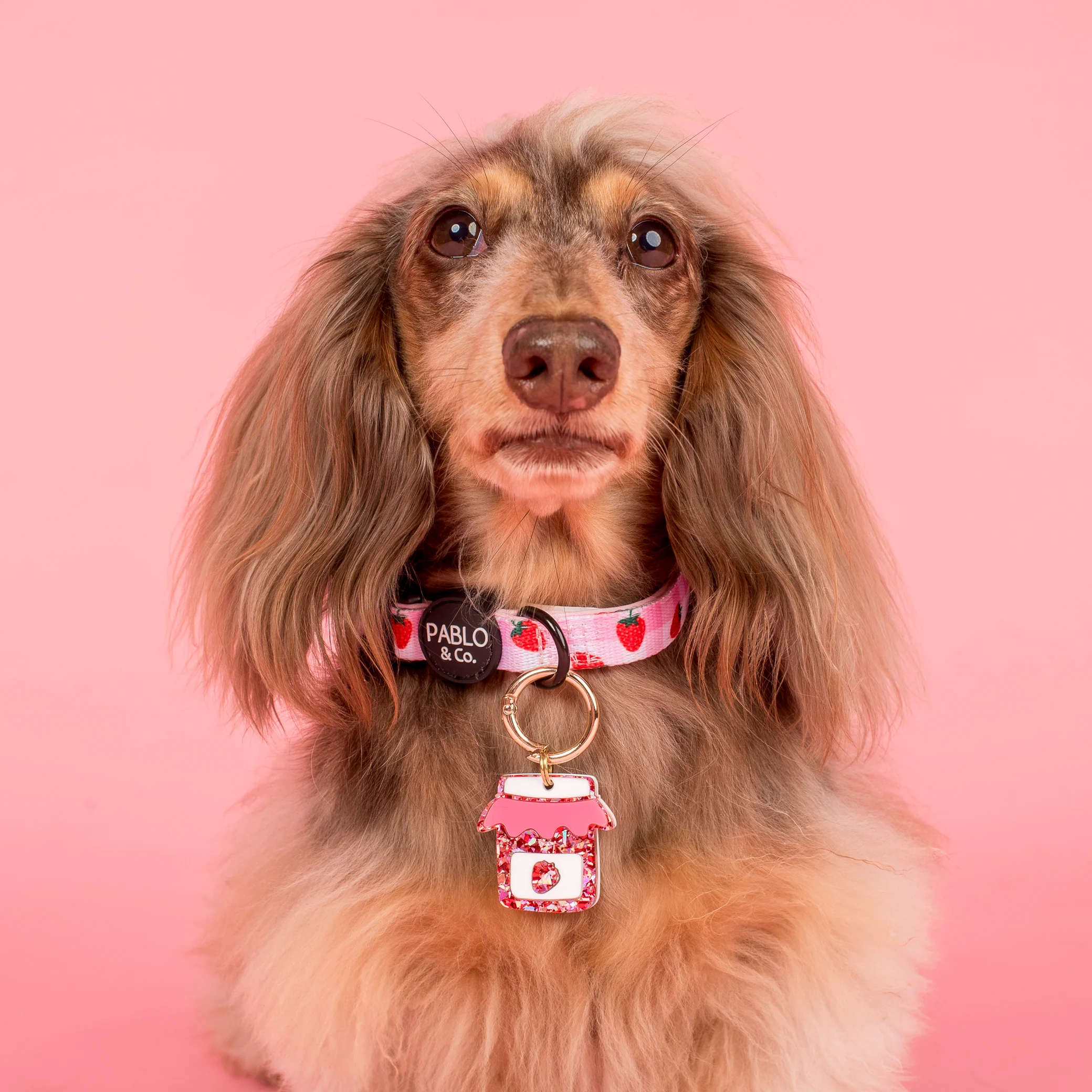 Personalised Pet ID Tag: Strawberry Jam - Image 3