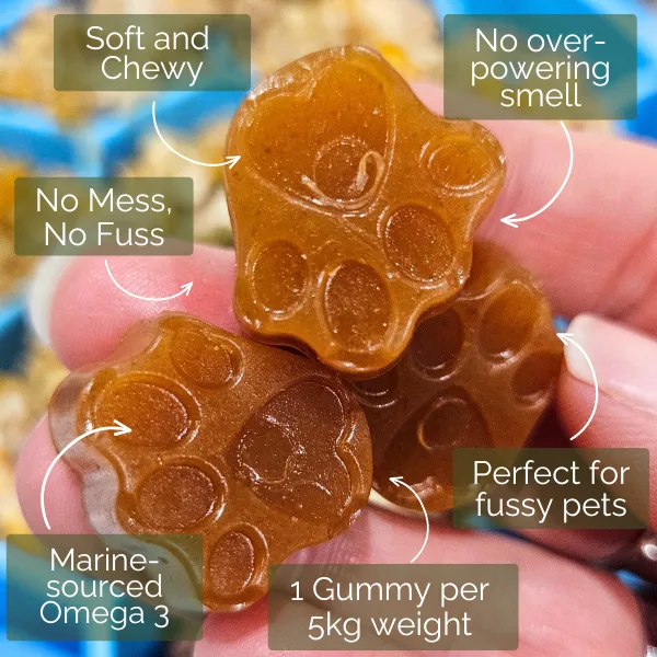 Pet Botanica: Omega Gummies - Sardine - Image 2