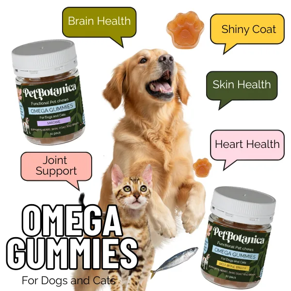 Pet Botanica: Omega Gummies - Sardine - Image 3