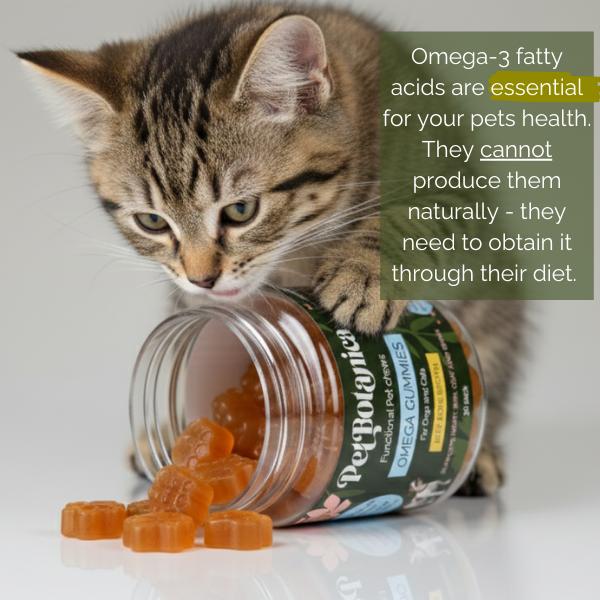 Pet Botanica: Omega Gummies - Sardine - Image 4