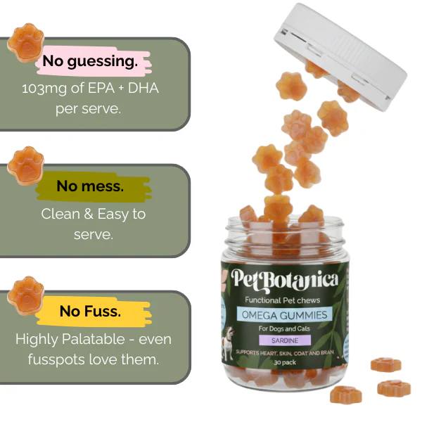 Pet Botanica: Omega Gummies - Sardine - Image 5